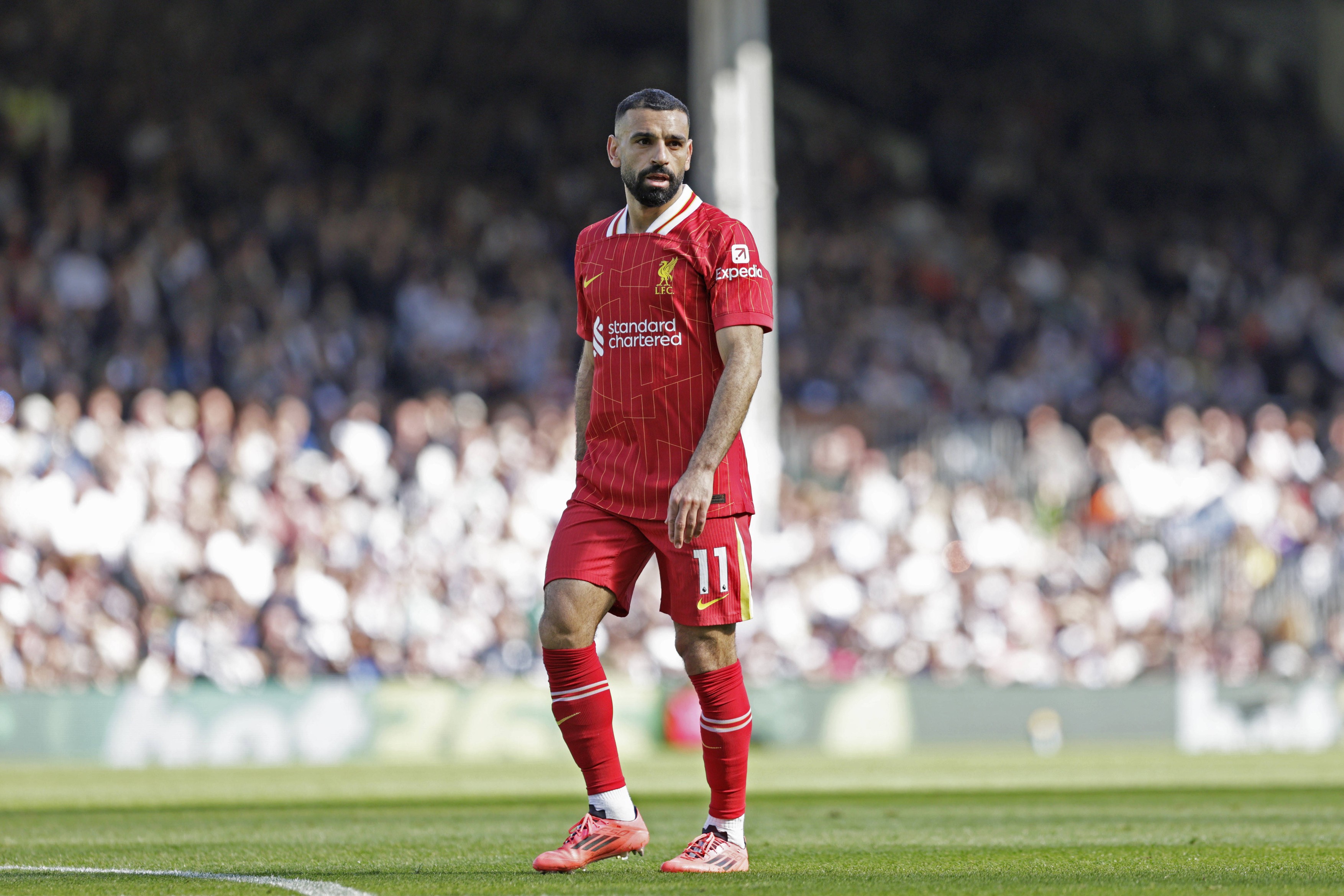 Premier League - Fulham v Liverpool - Craven Cottage