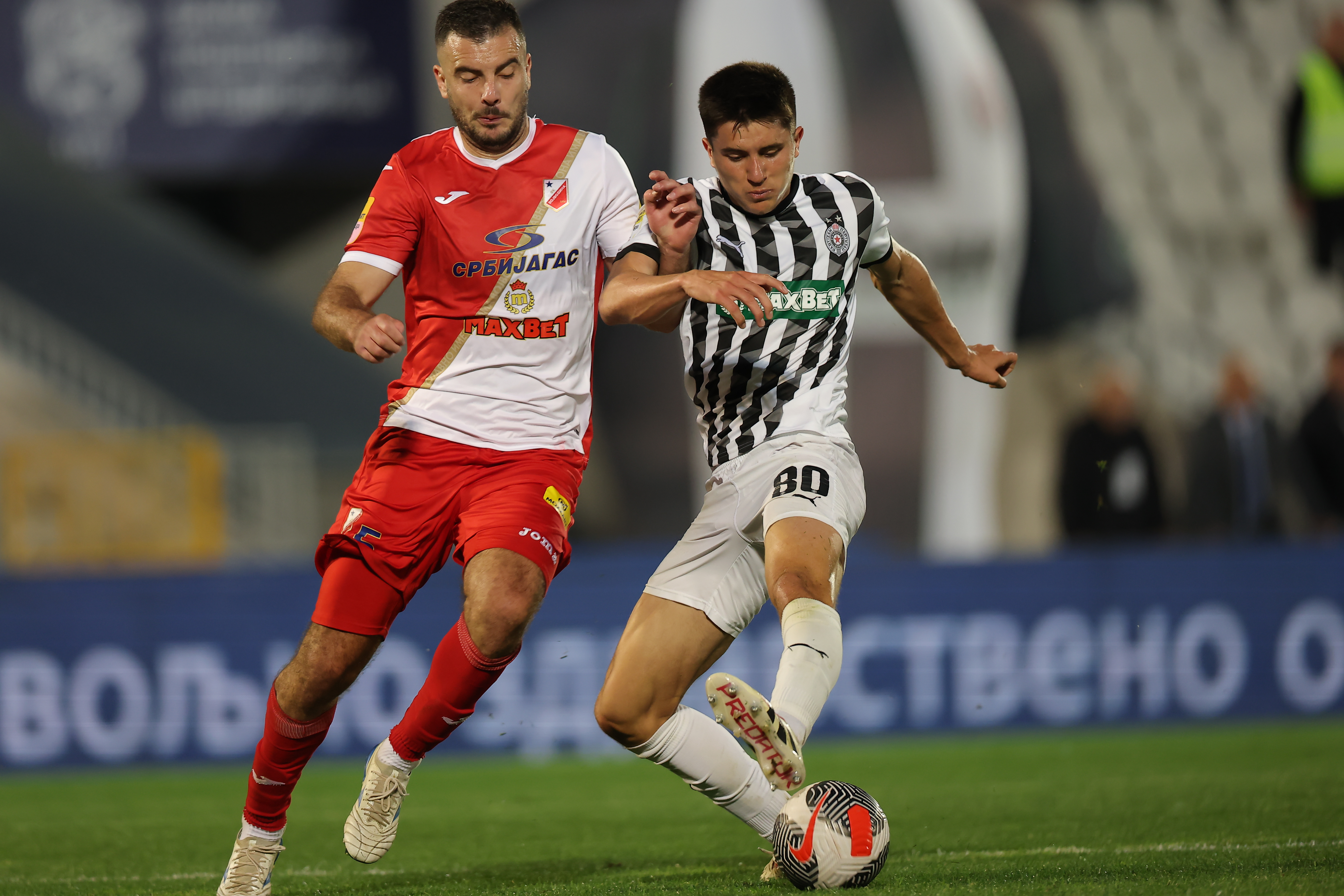 Partizan v Vojvodina, Serbian Super League, Season 2024/25