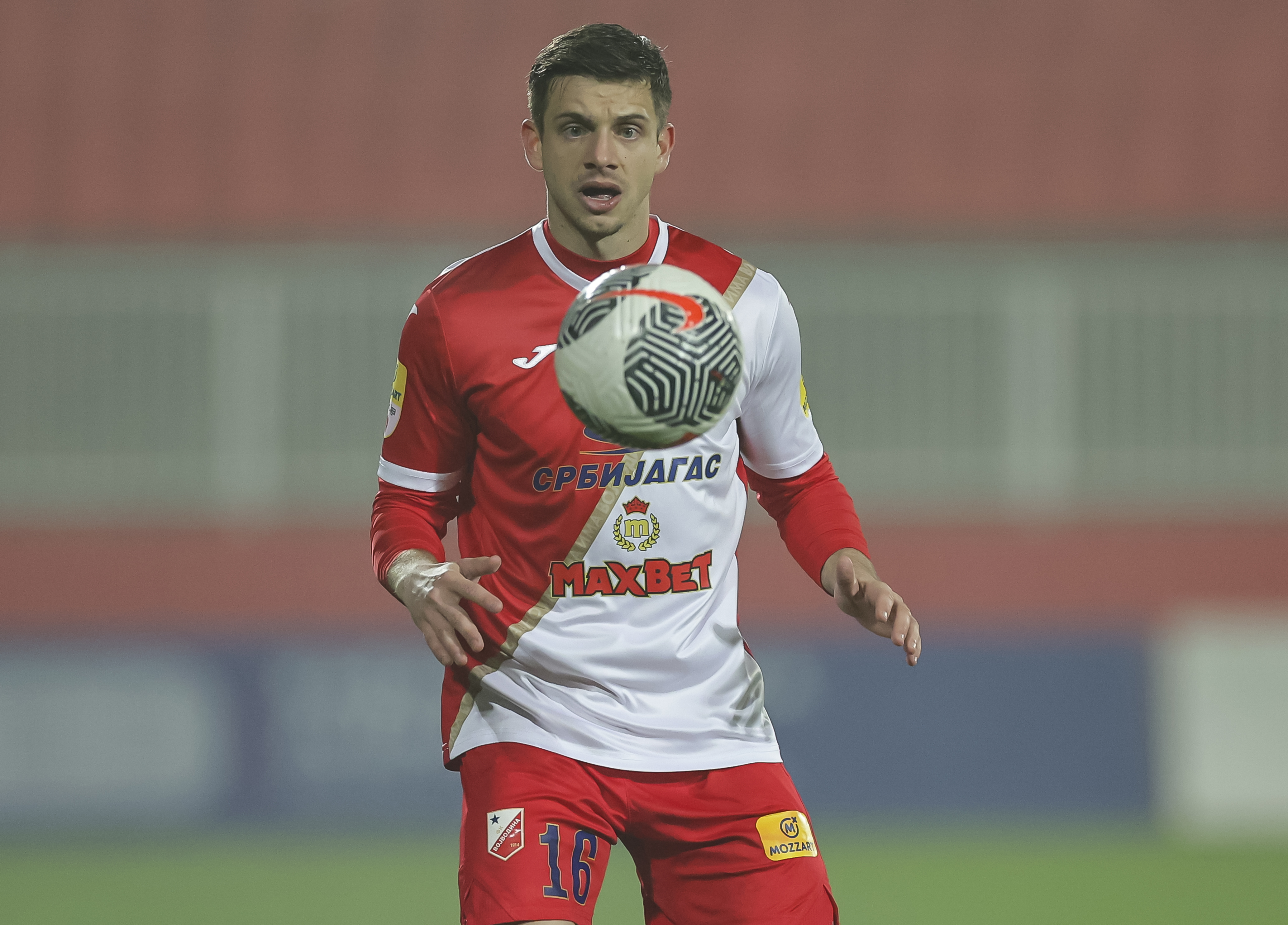 Vojvodina v Mladost Lucani - Mozzart Super League Season 2024/2025