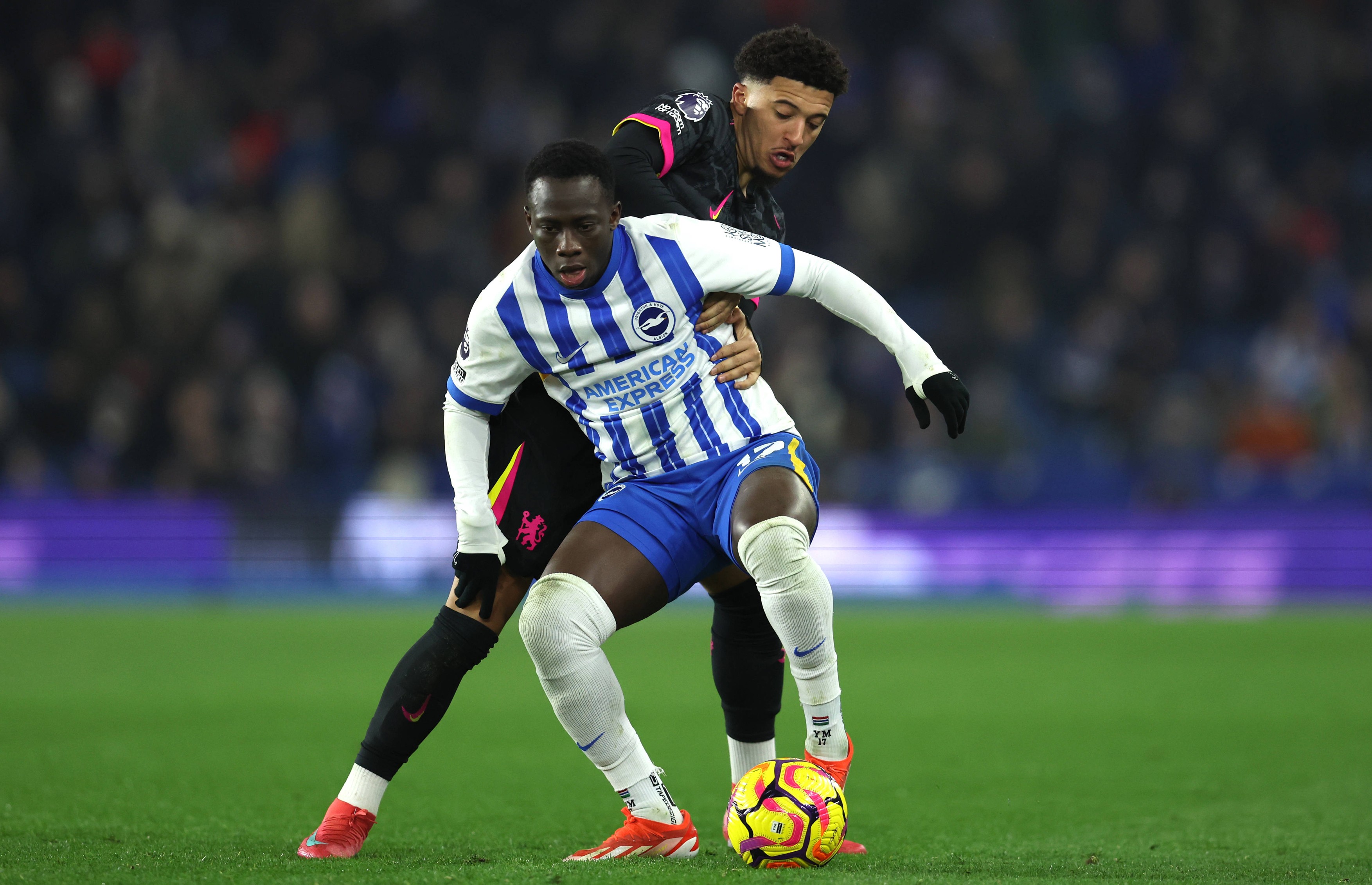Brighton and Hove Albion v Chelsea - Premier League - AMEX Stadium