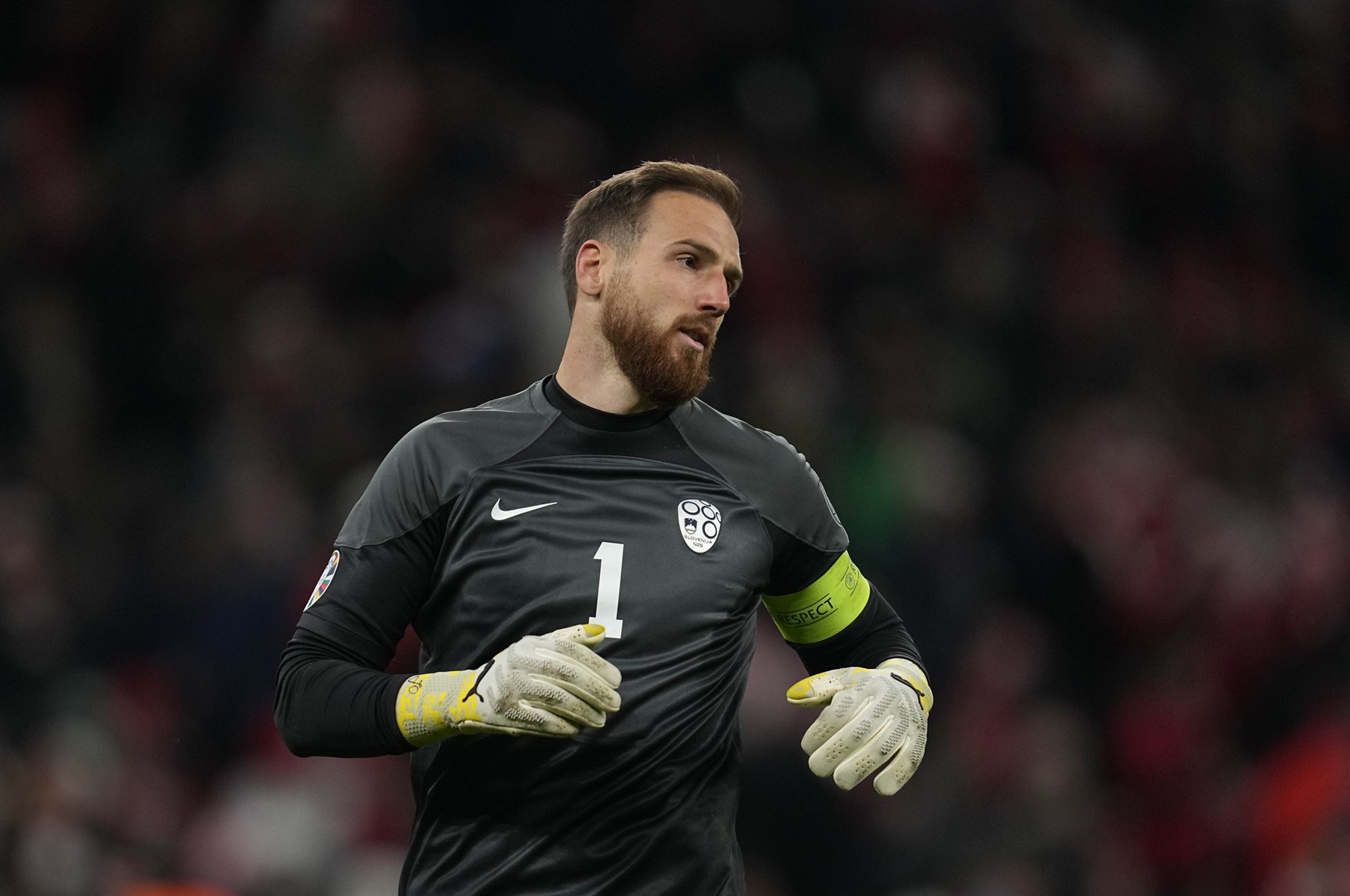 Group H EURO 2024 Qualification: Denmark versus Slovenia