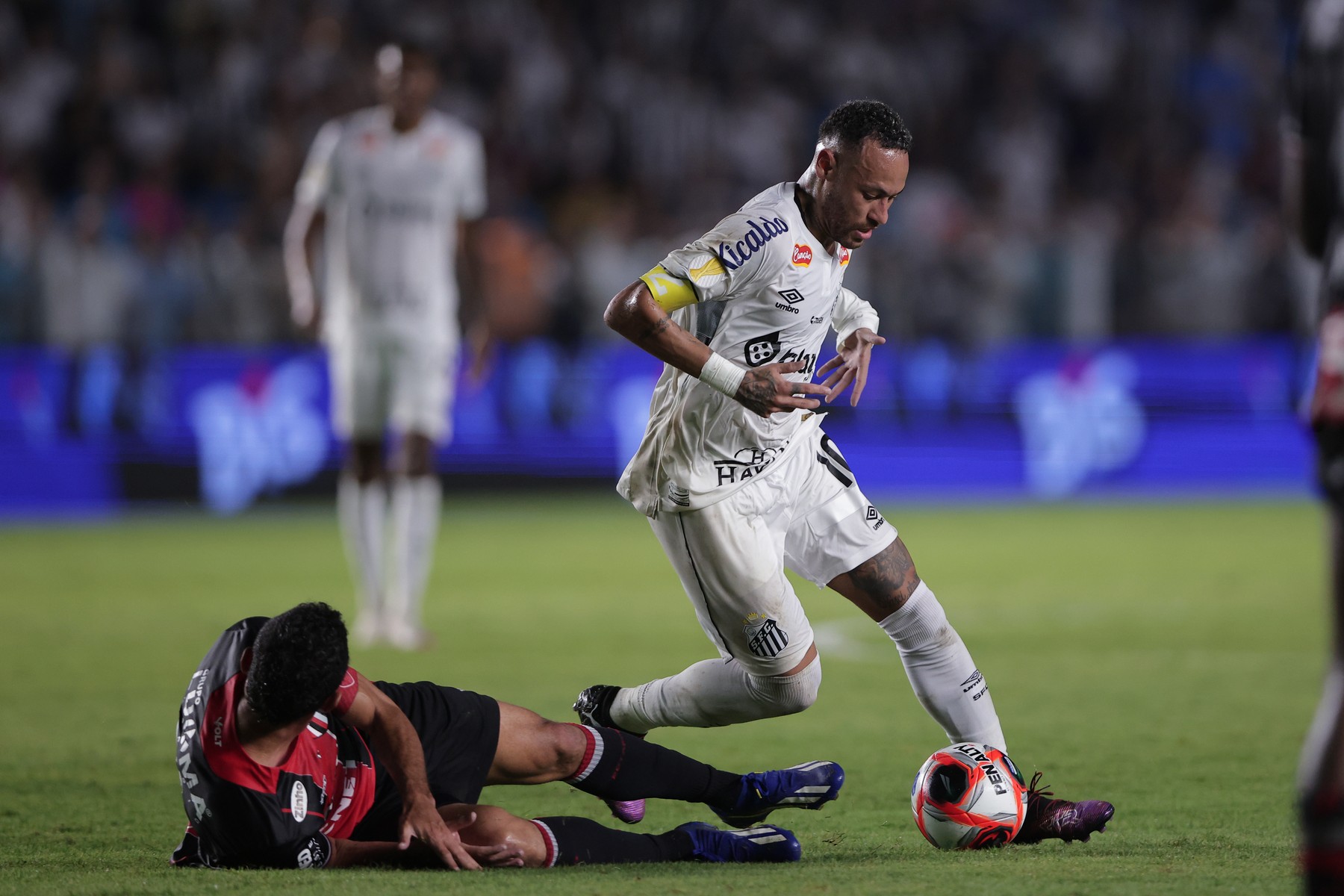 PAULISTA 2025, SANTOS x BOTAFOGO-SP