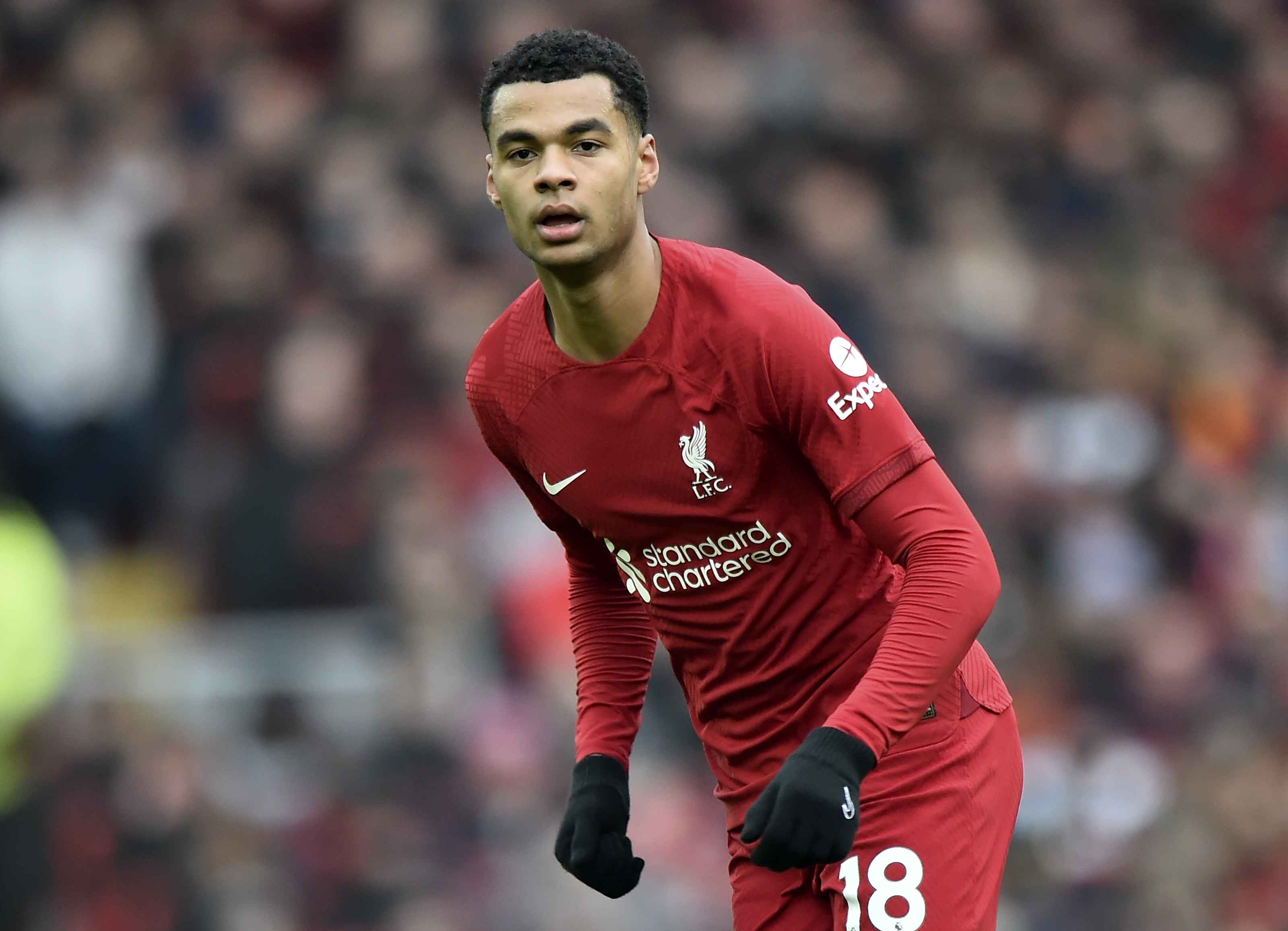 English Premier League - Liverpool FC vs Chelsea FC