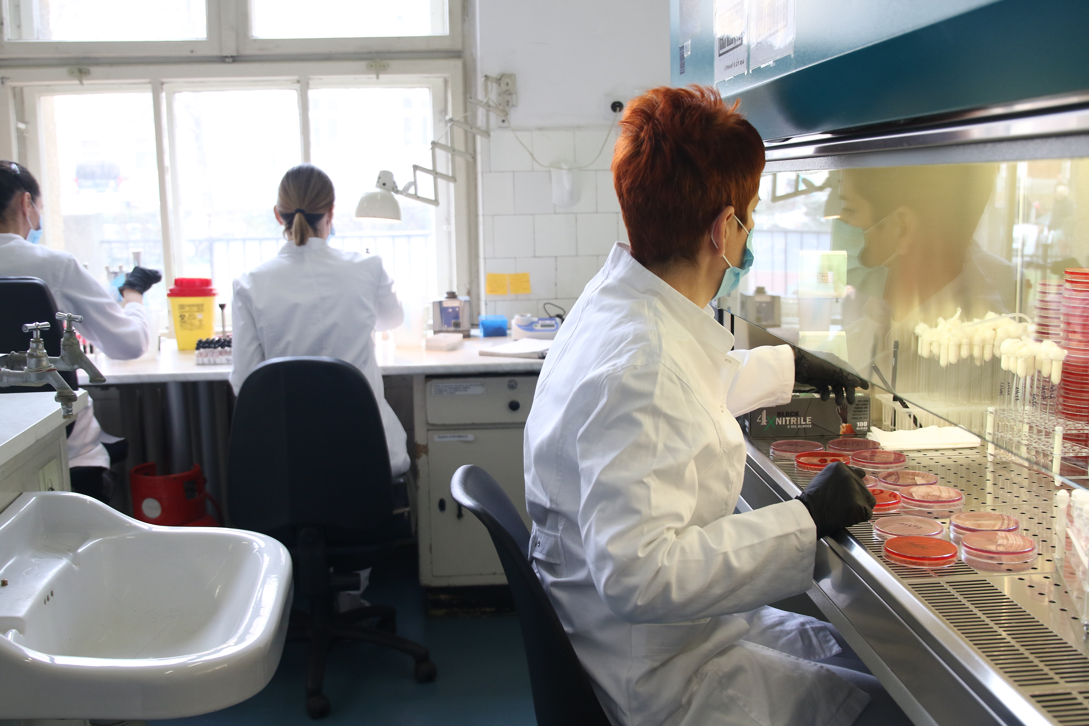 The presentation of the project "EU for the healthcare system of Serbia" was held at the Institute for Public Health "Dr.