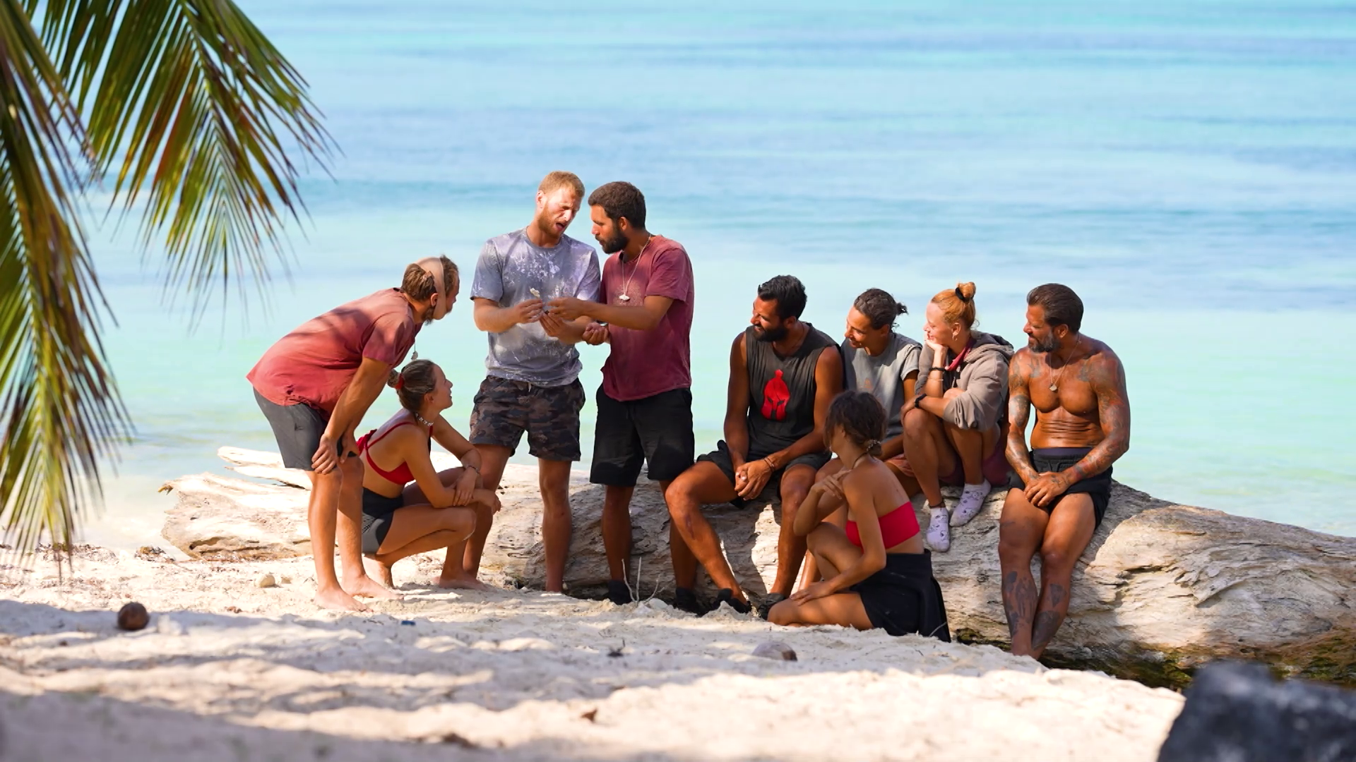 vlcsnap-2024-04-24-08h51m39s245