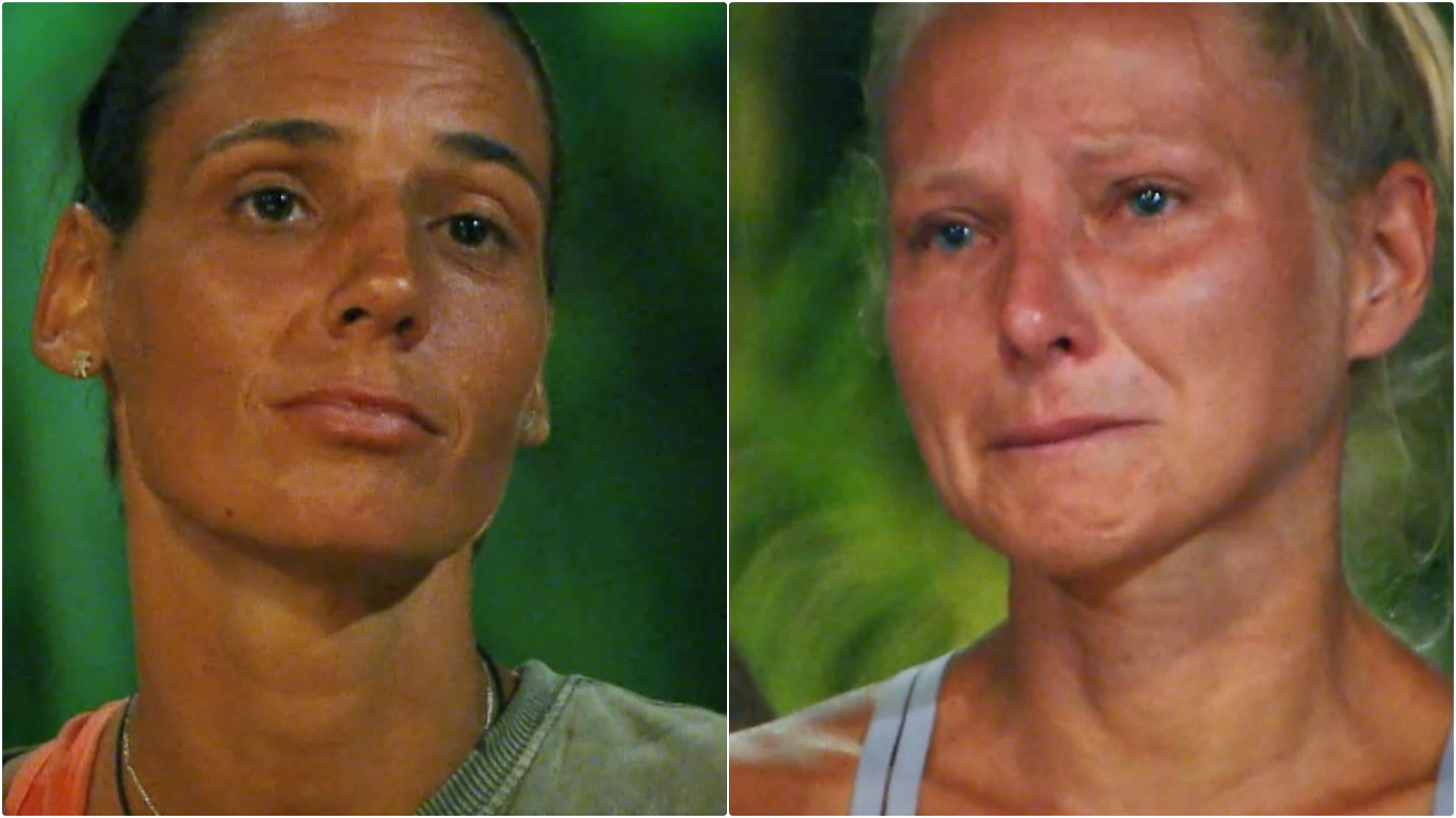 survivor