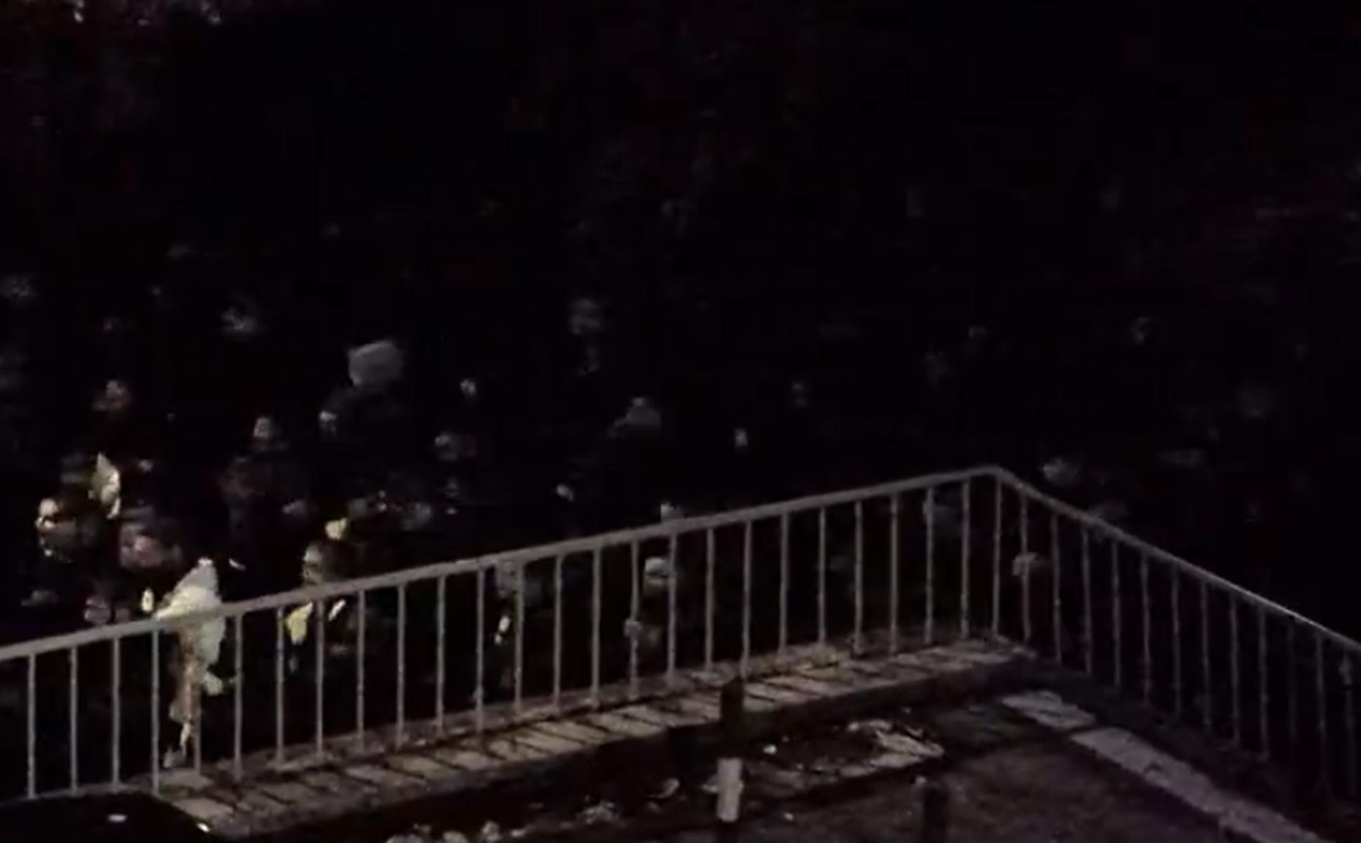 Grobari idu ka Areni