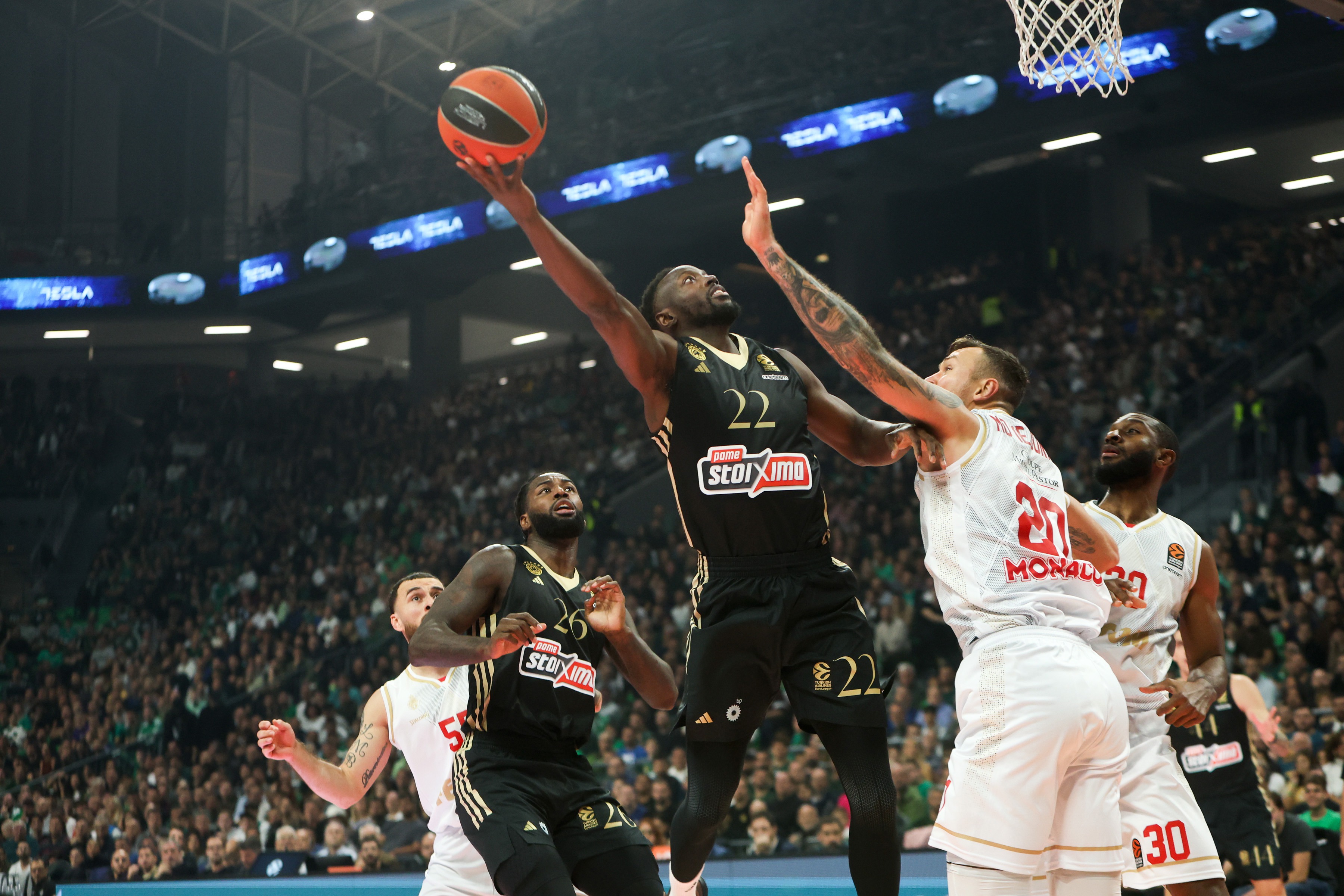 epa11748512 Panathinaikos Jerian Grant (C) in action with Monaco's Motiejunas Donatas during the EuroLeague basketball match between Panathinaikos and AS Monaco at OAKA stadium, Marousi, Attica, Greece, 29 November 2024.  EPA-EFE/Georgia Panagopoulou