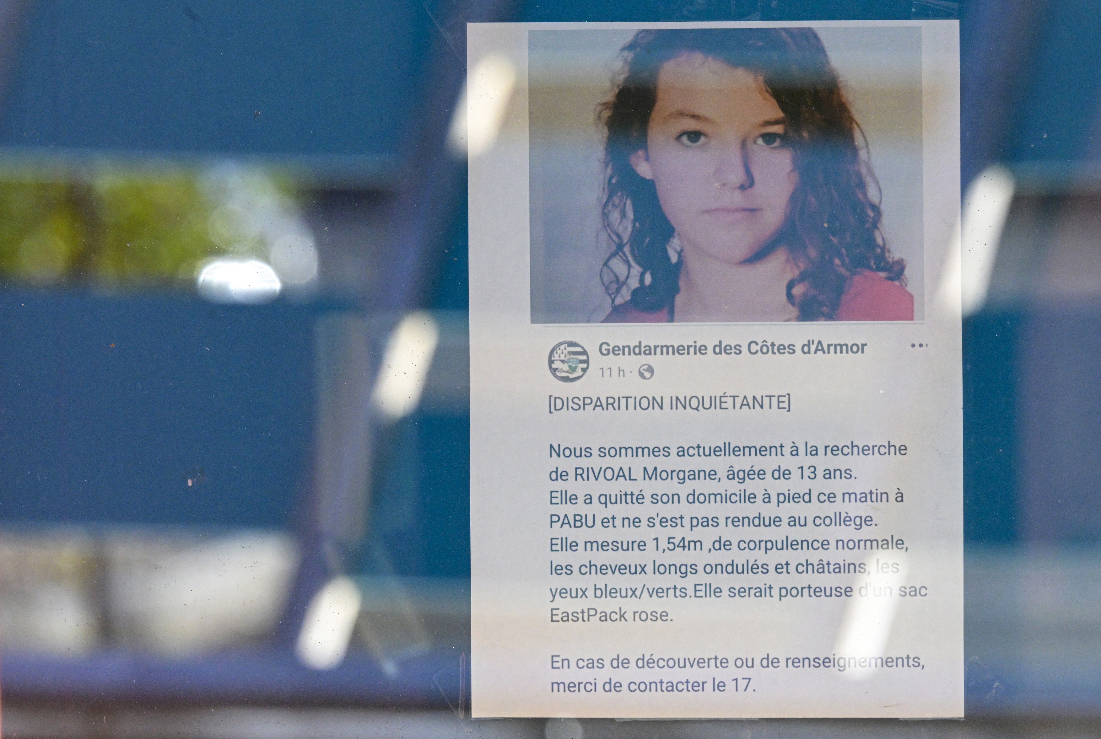 Potraga za devojčicom u Francuskoj, profimedia-0940804587