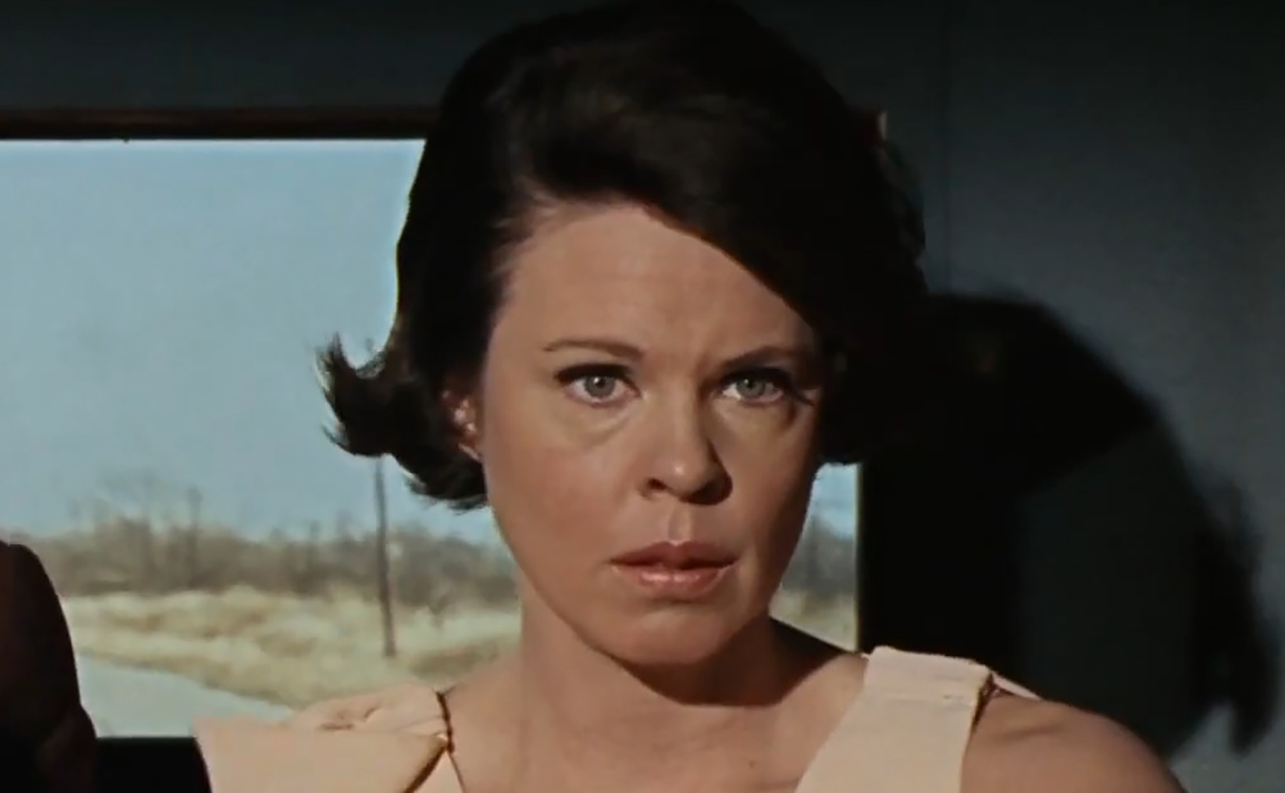 Evans Evans, Warren Beatty