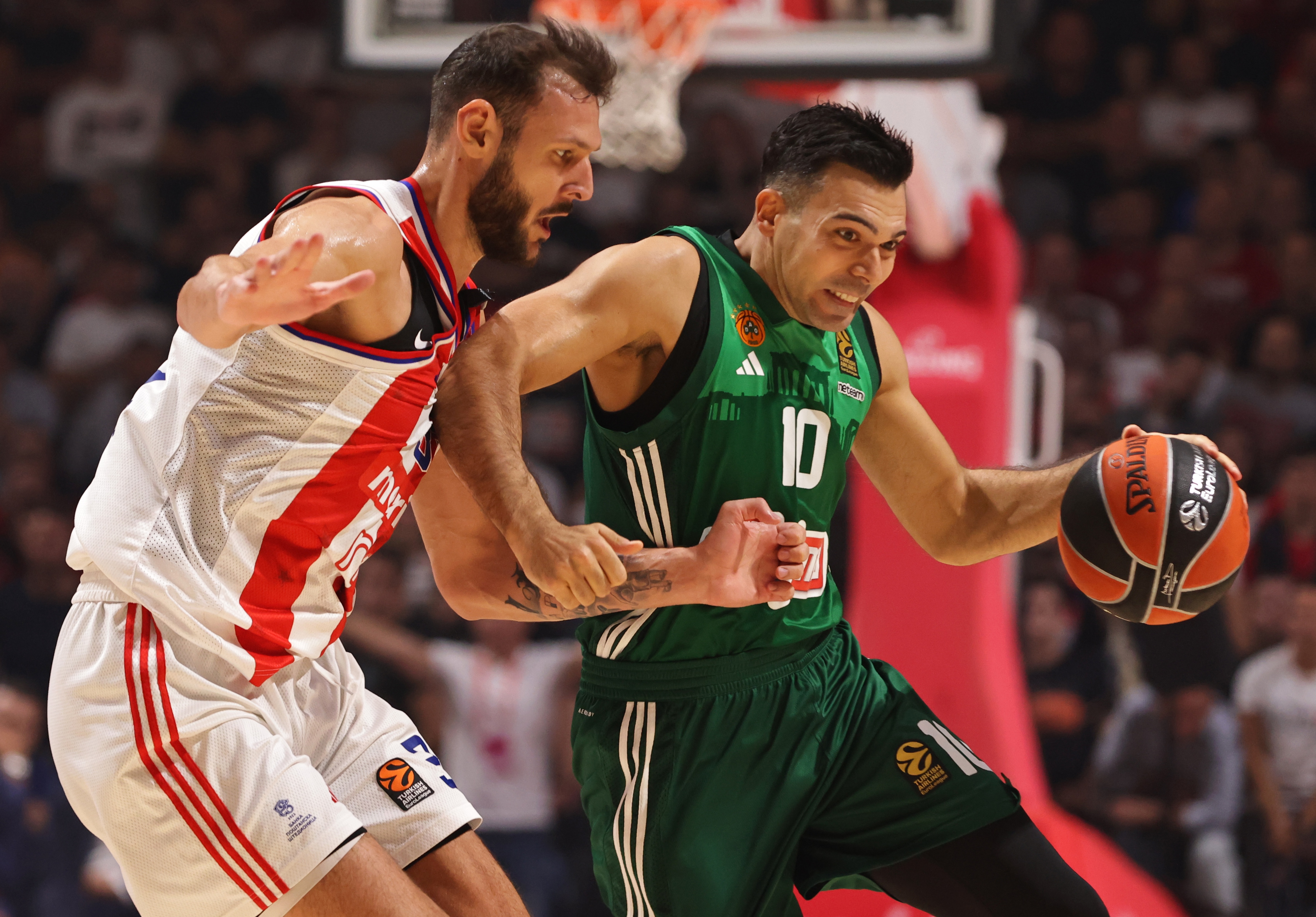epa11696412 Panathinaikos's Kostas Sloukas (R) in action against Crvena Zvezda's Uros Plavsic (L) during the Euroleague basketball match between Crvena Zvezda Belgrade and Panathinaikos Athens in Belgrade, Serbia, 01 November 2024.  EPA-EFE/ANDREJ CUKIC