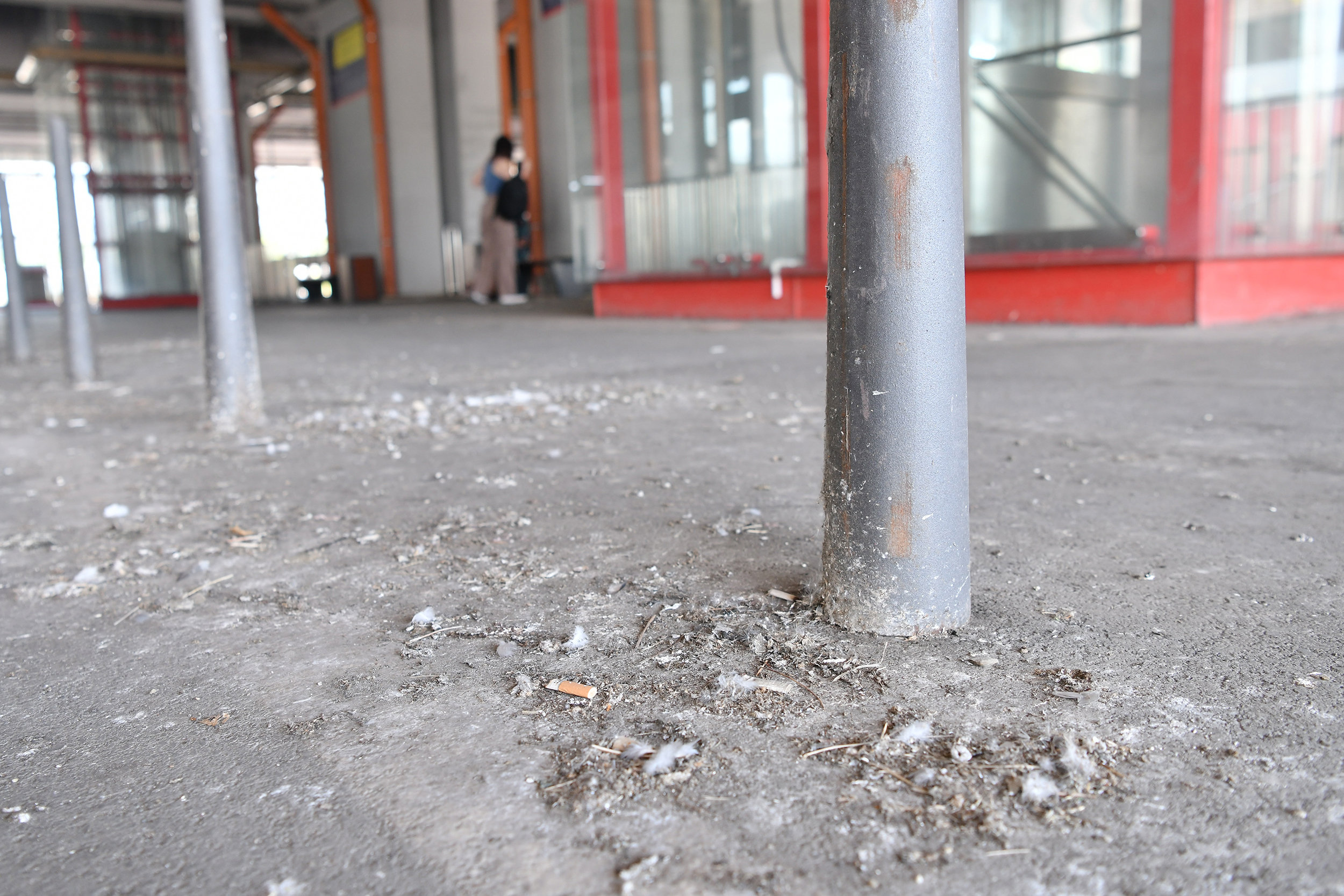 beograd 05.08.2024 novi beograd beovoz zapustena prljava stanica peron , kod buvljaka