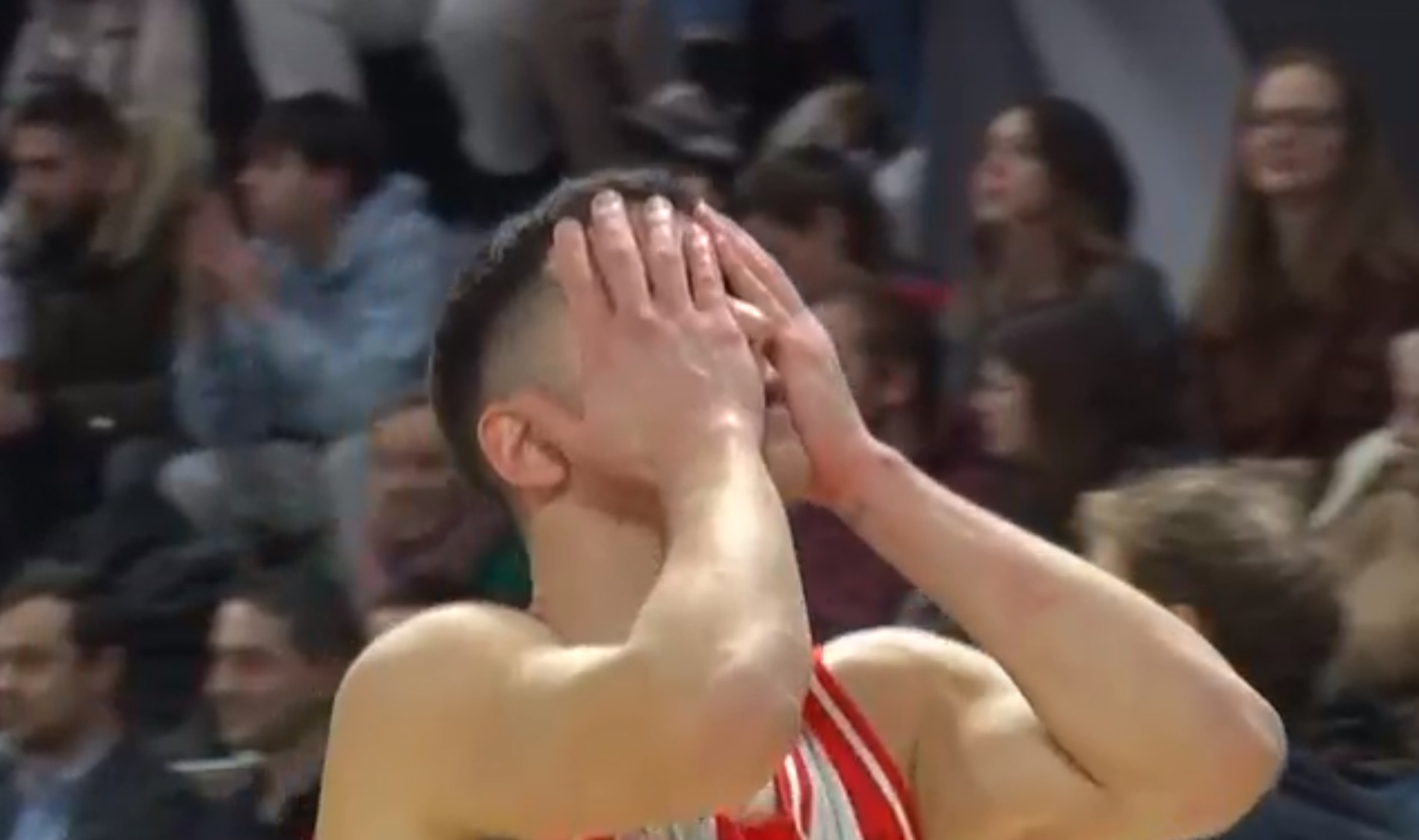 nedovic