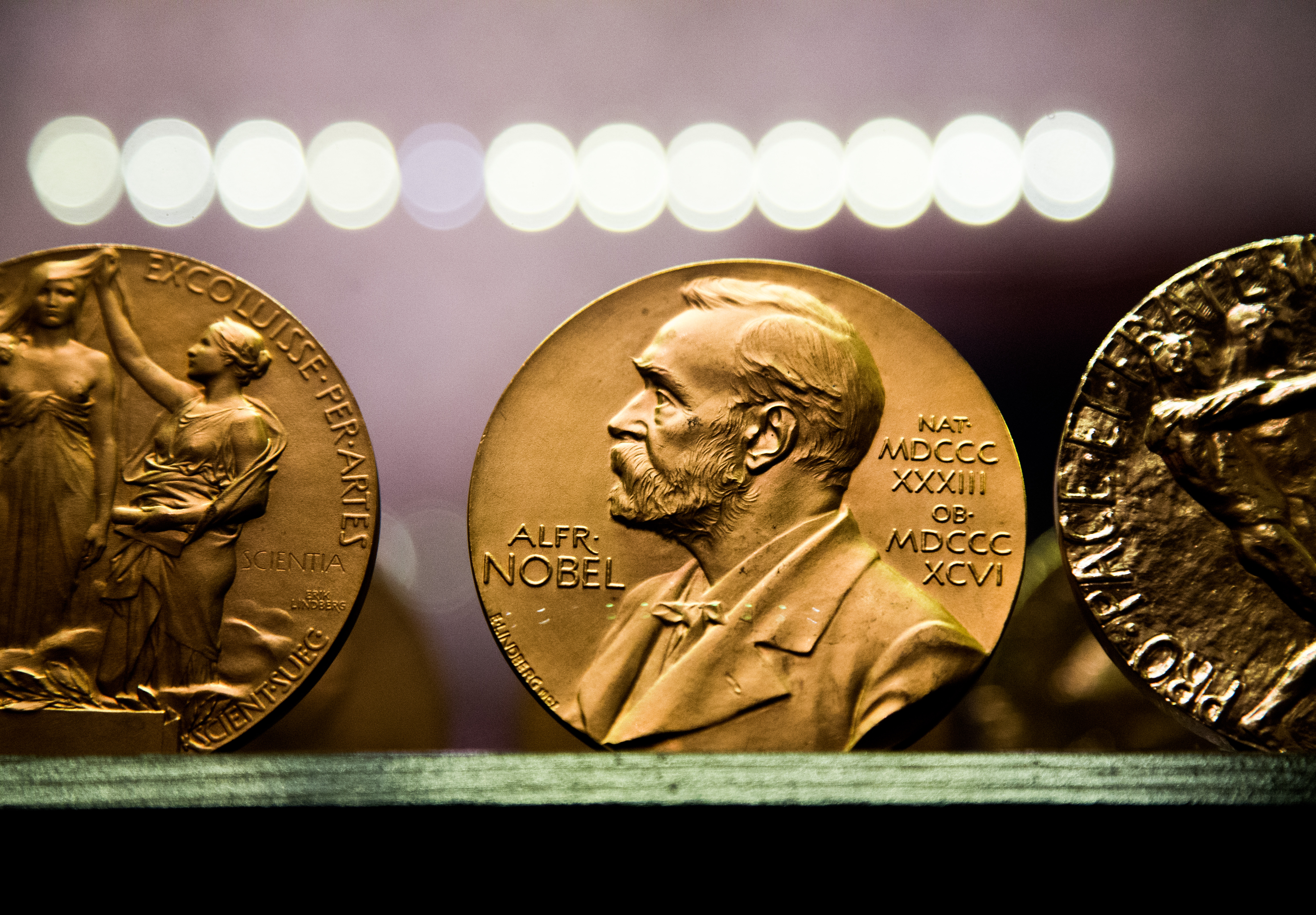 nobel nobelova nagrada