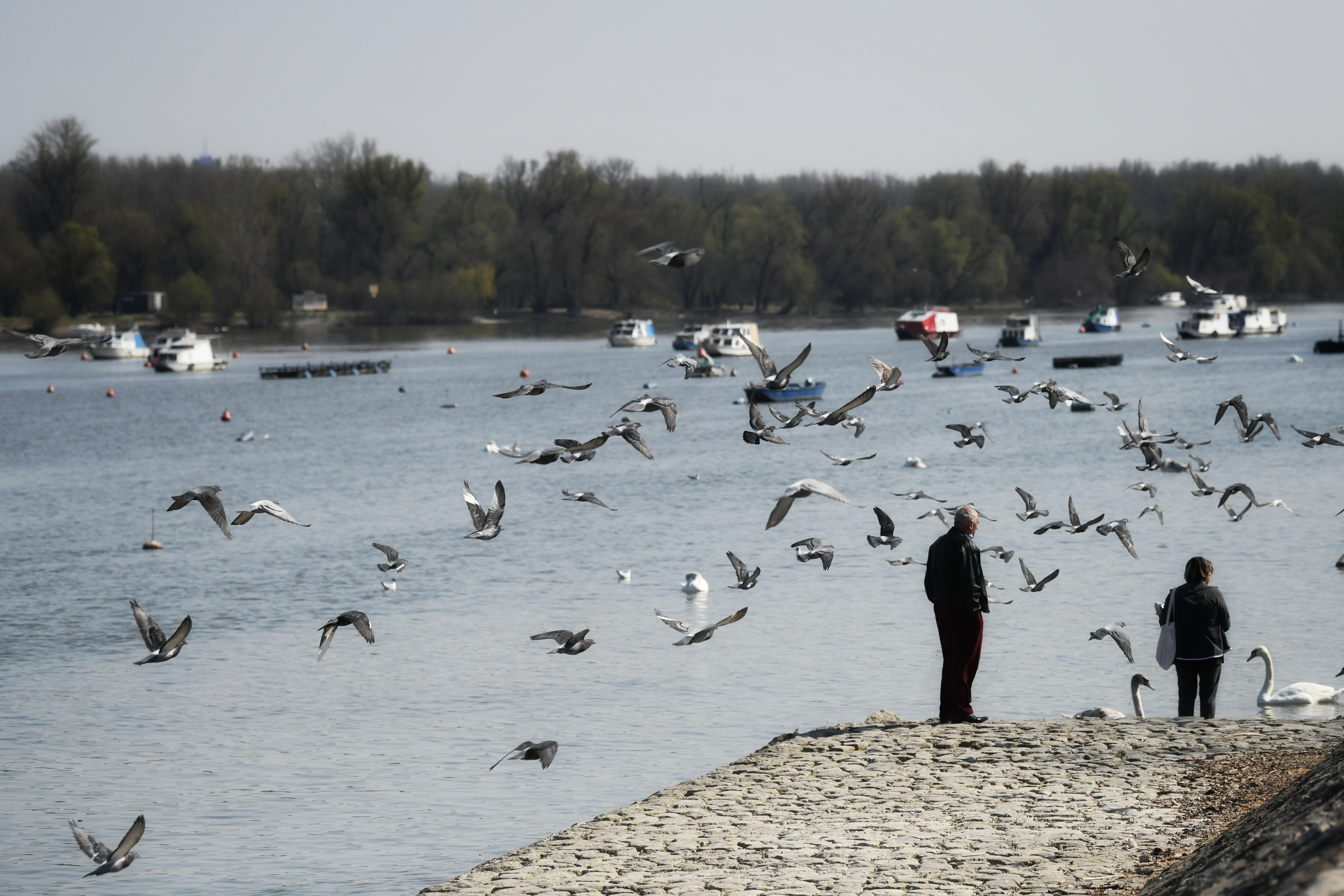 Beograd 26.03.2021. Zemunski kej, Zemun, lepo vreme, proleće, ljudi, ptice Foto: Vesna Lalić/Nova.rs