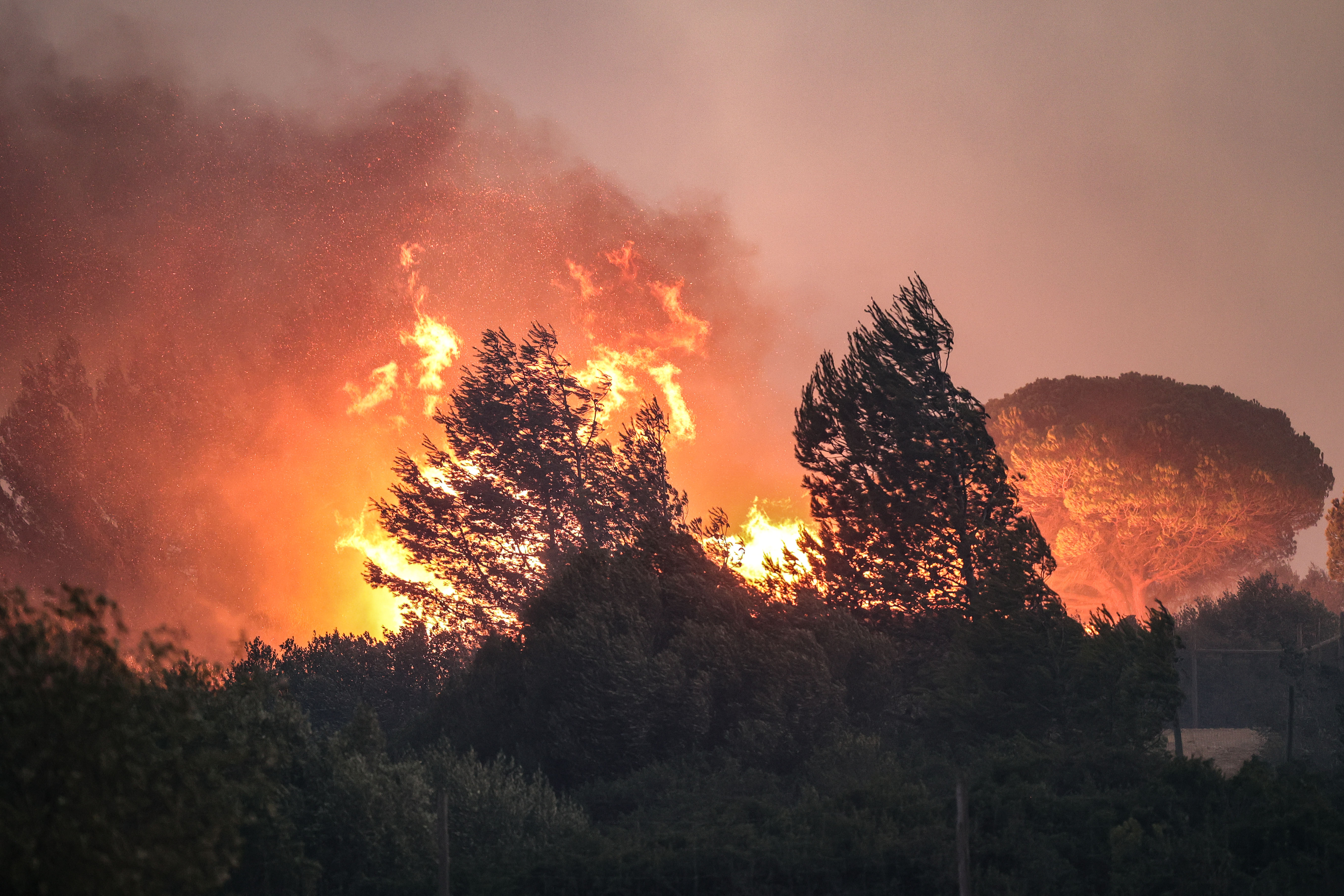 Cascais fire fought by air and ground resources