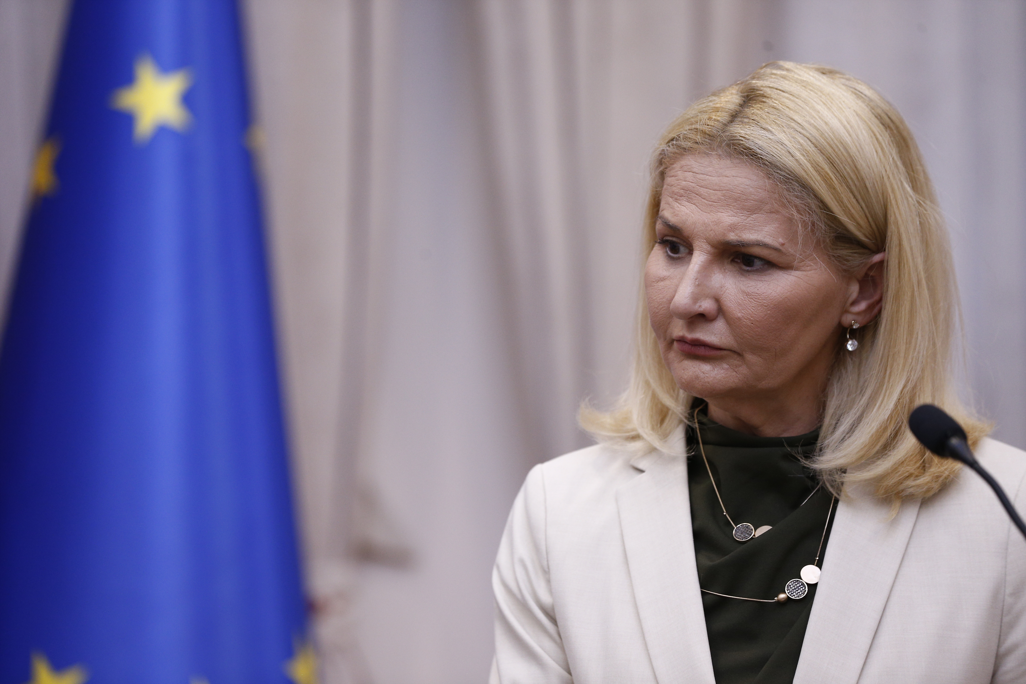 Minister for European Integration Tanja Miscevic met with Federal Minister for the EU and the Constitution of Austria Karoline Edtstadler.