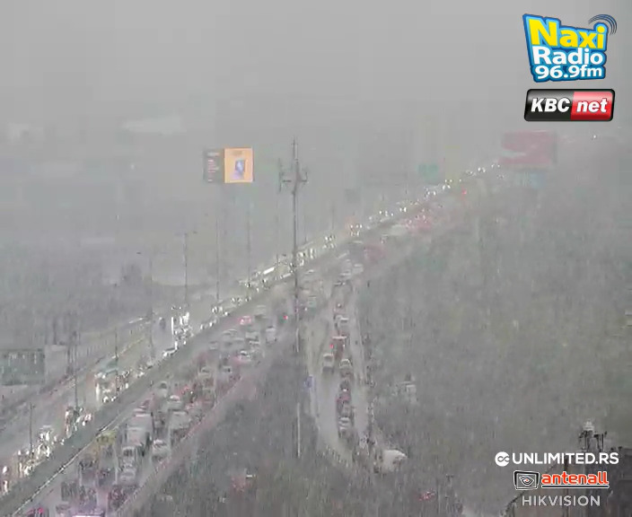 Gazela Foto: Naxi kamere