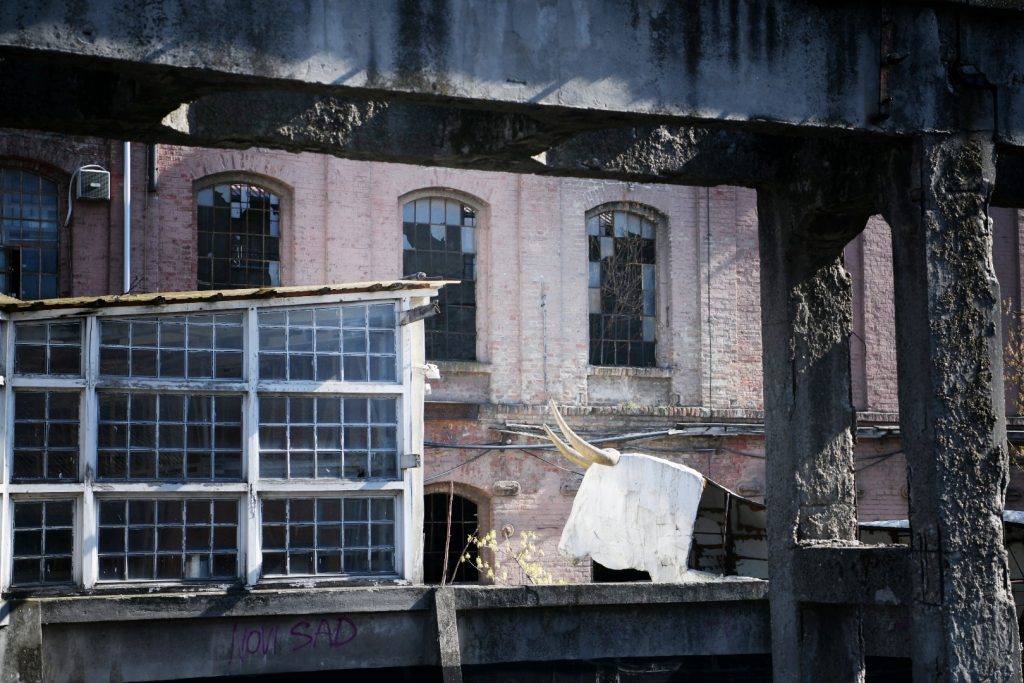Beograd 31.03.2021. Stara šećerana, zgrada, ilustracija, pokrivalice, Radnička ulica Foto: Vesna Lalić/Nova.rs