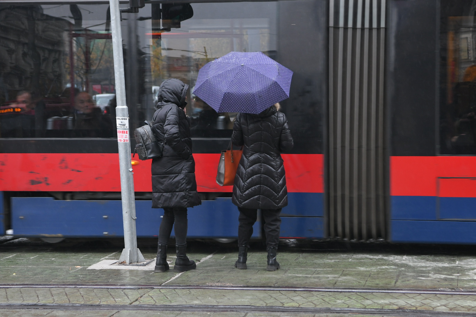 Beograd 06.12.2023. kiša, susnežica, hladno vreme, vremenska prognoza Foto: Amir Hamzagić/Nova.rs