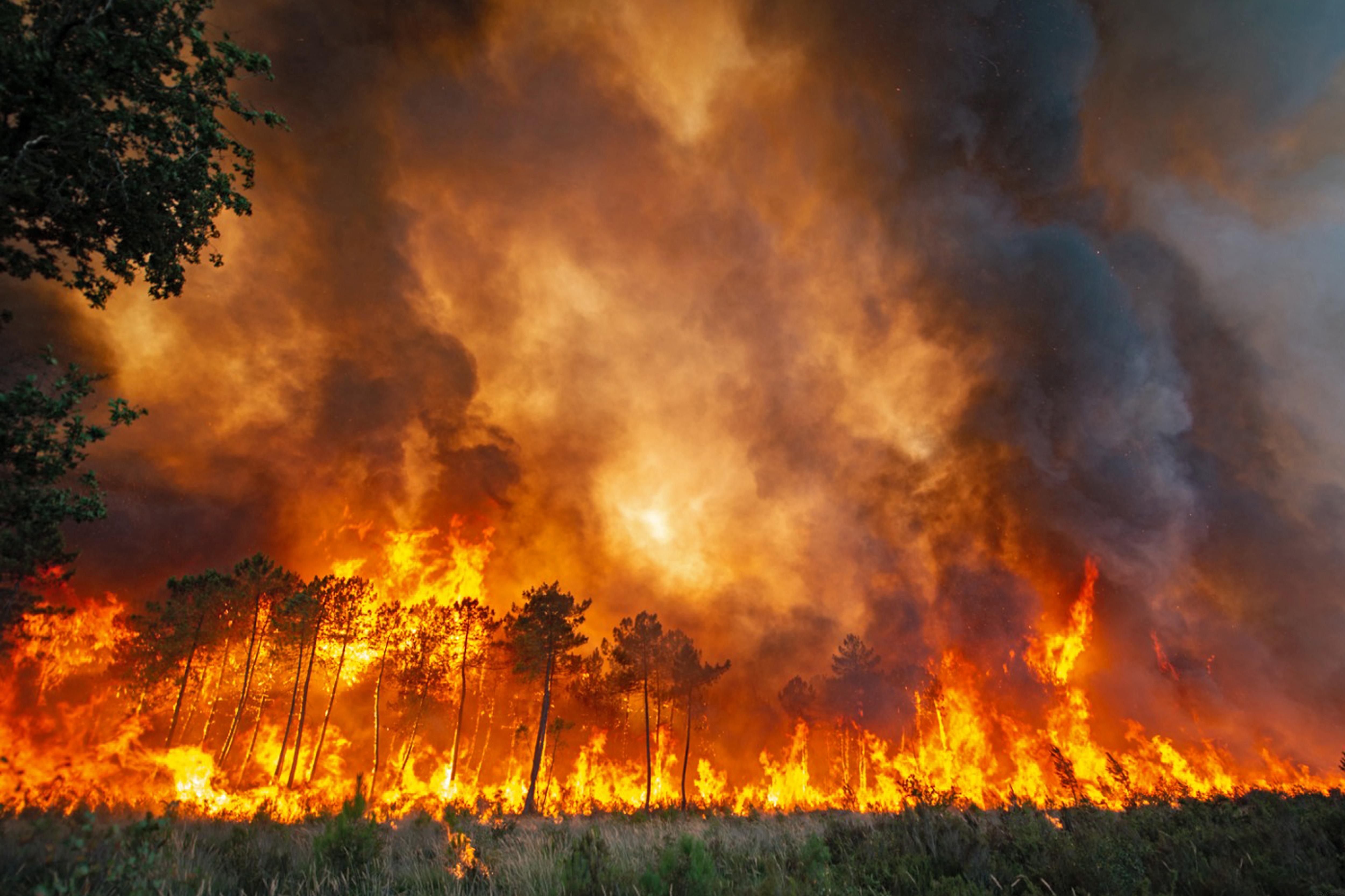 Forest fire in France