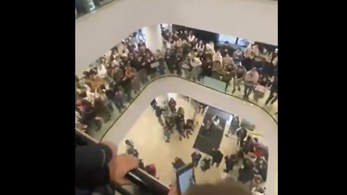 fakultet organizaiconih nauka