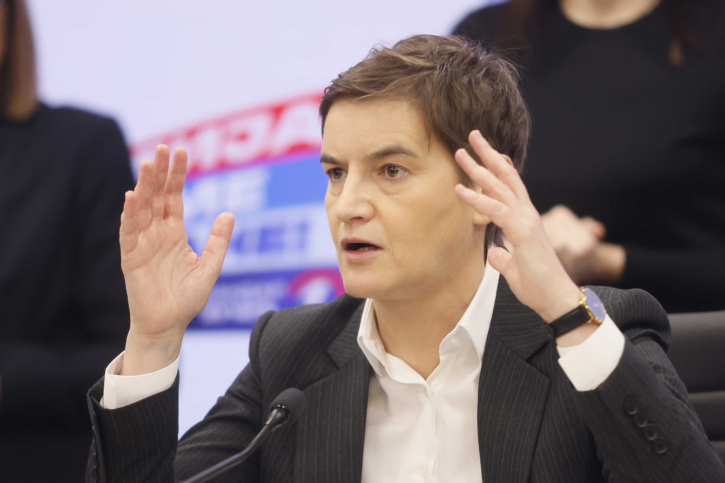 ANA BRNABIĆ