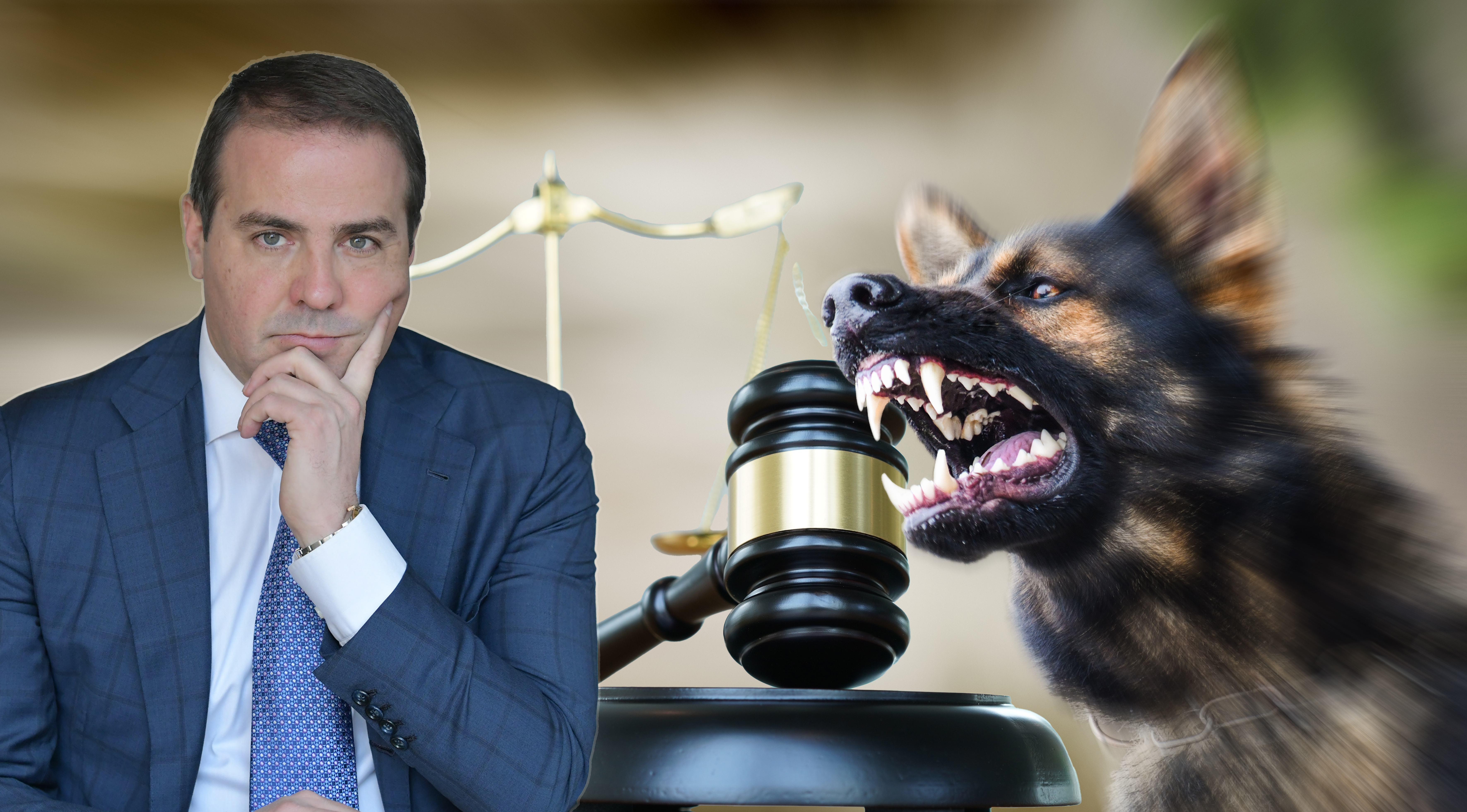 Aggressive,Dog,Shows,Dangerous,Teeth.,German,Sheperd,Attack,Head,Detail.