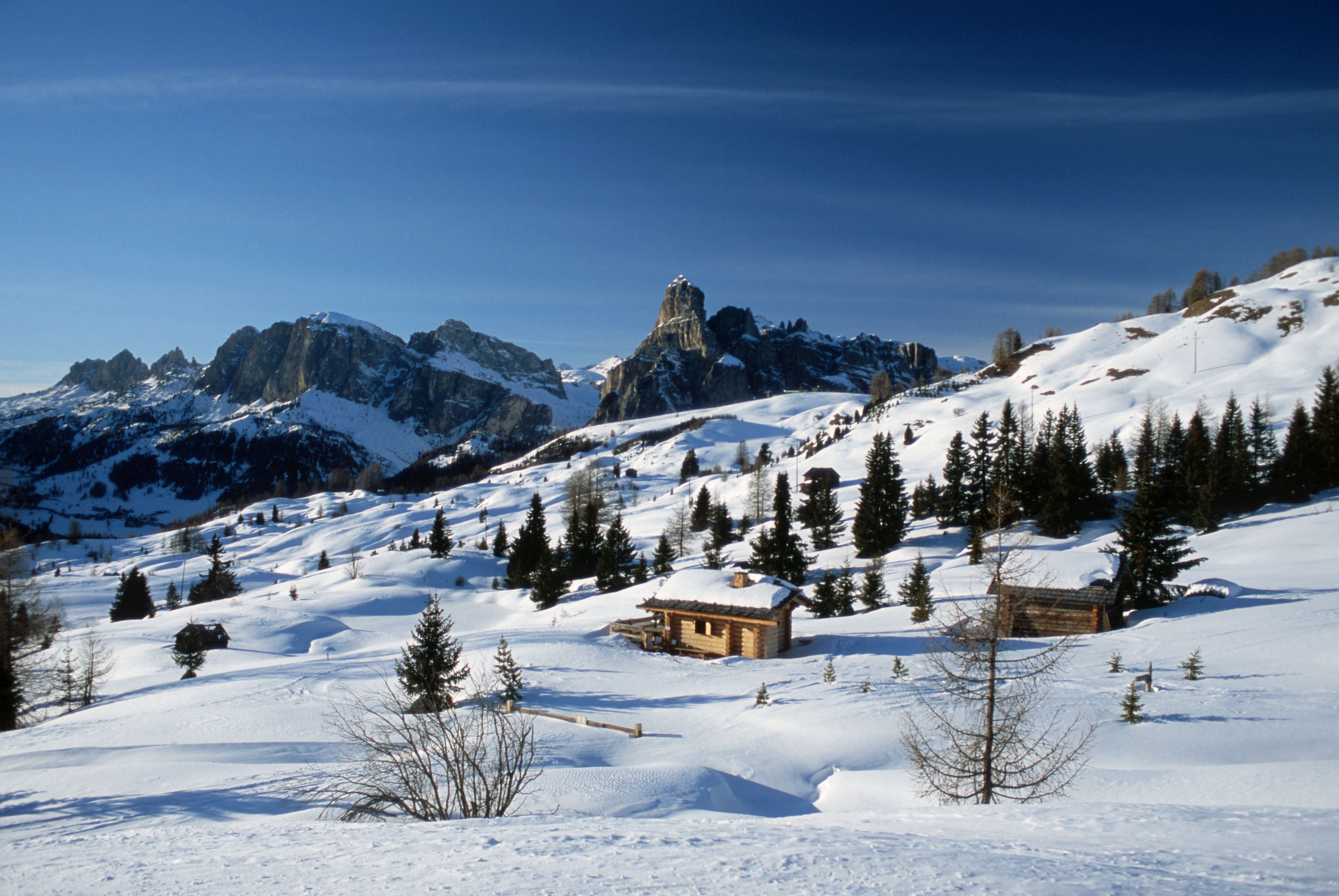 profimedia-0722812008