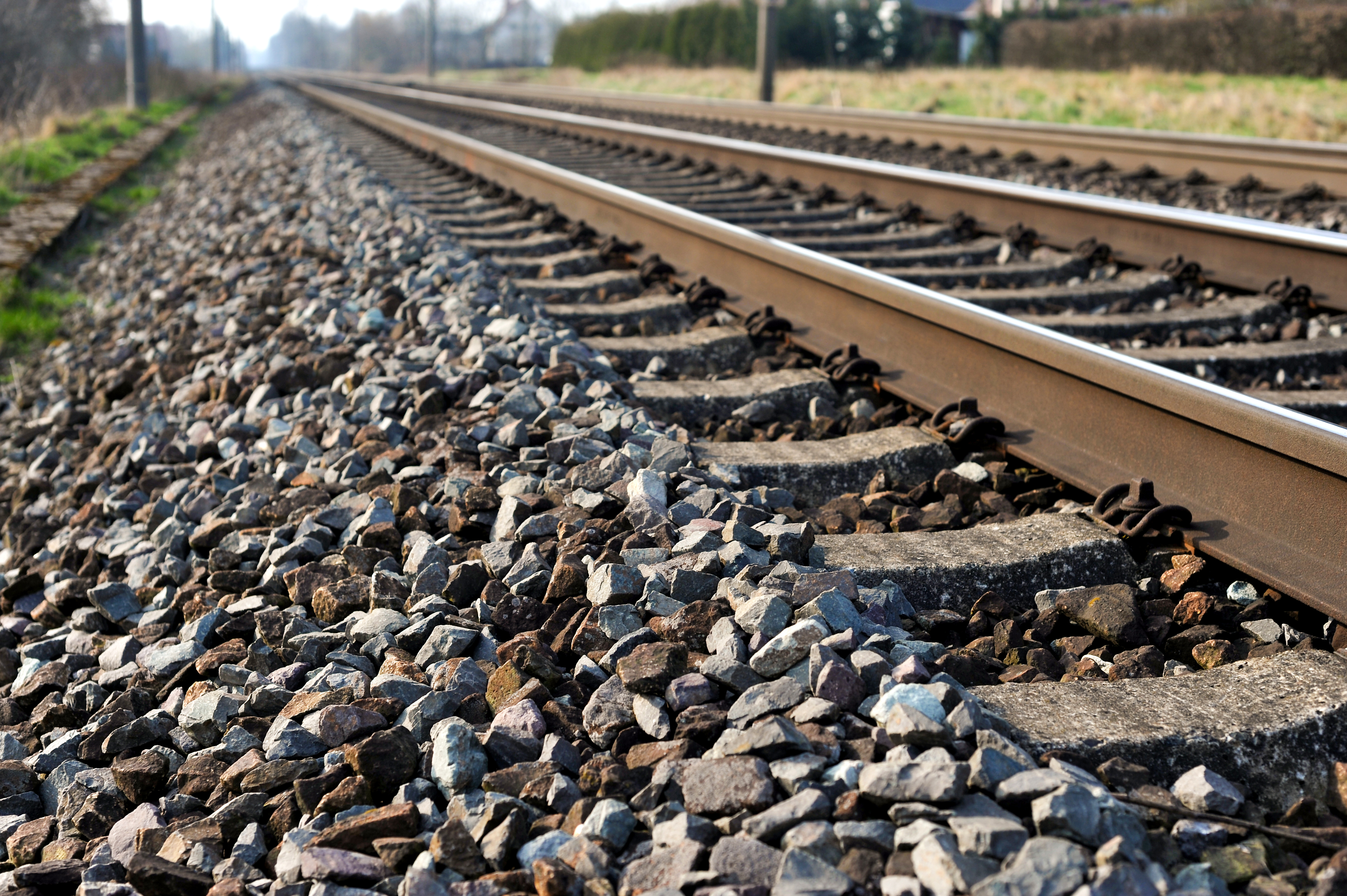 shutterstock_1853339953