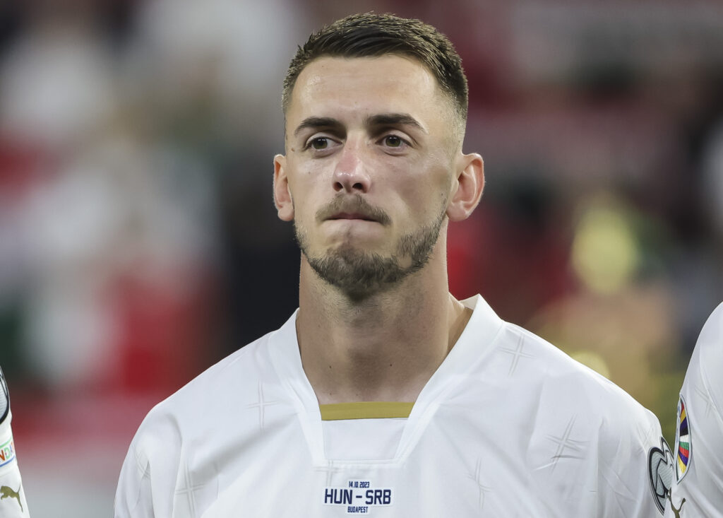 1724272092-HUNGARY-SERBIA_135-1024x733.jpg
