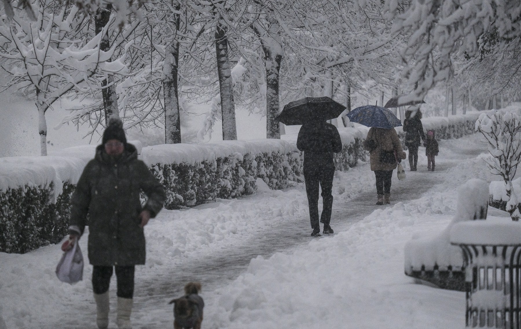 Snowy weather in Sarajevo