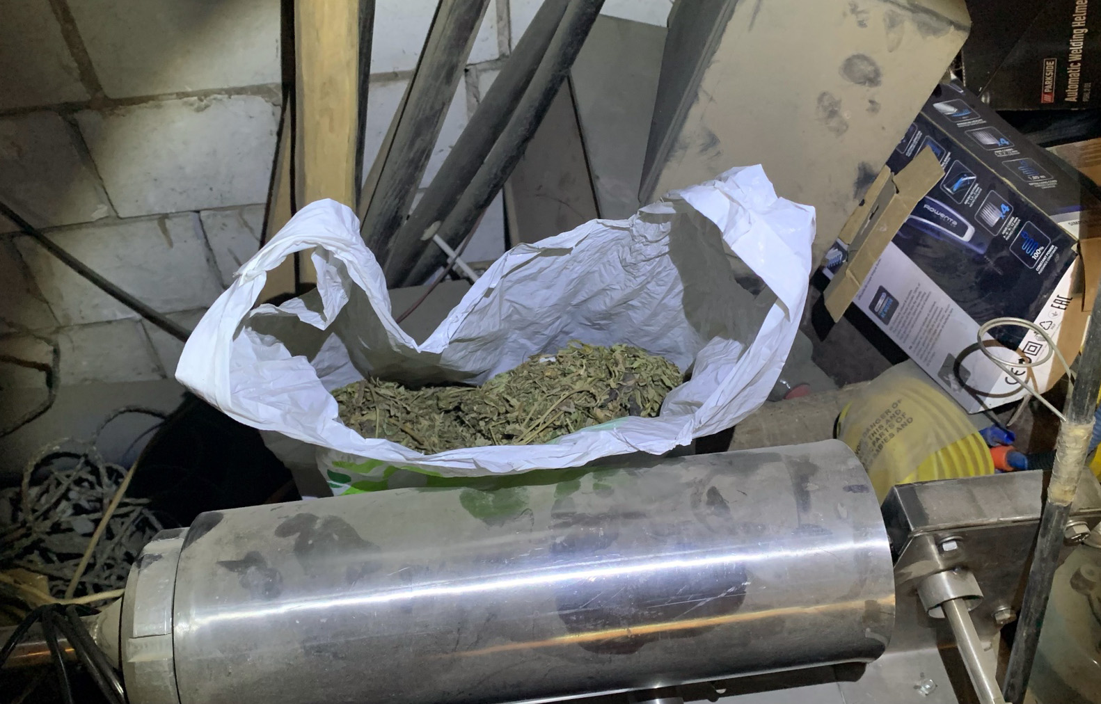Sombor, marihuana, droga, zaplena,