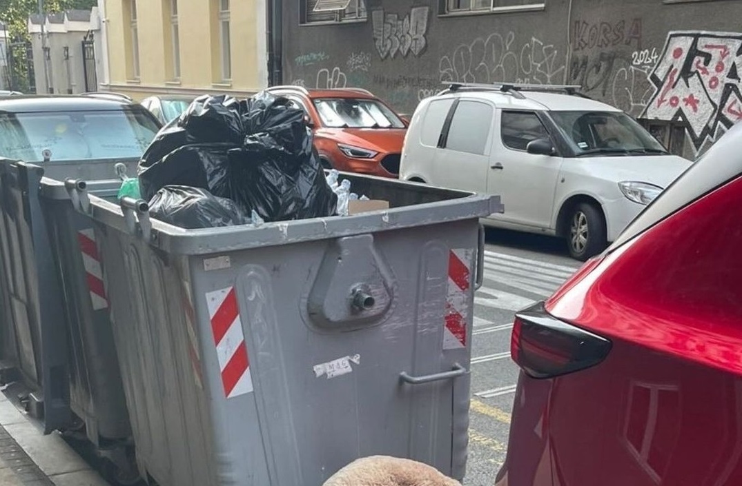 Medved pored kontejnera na Vračaru