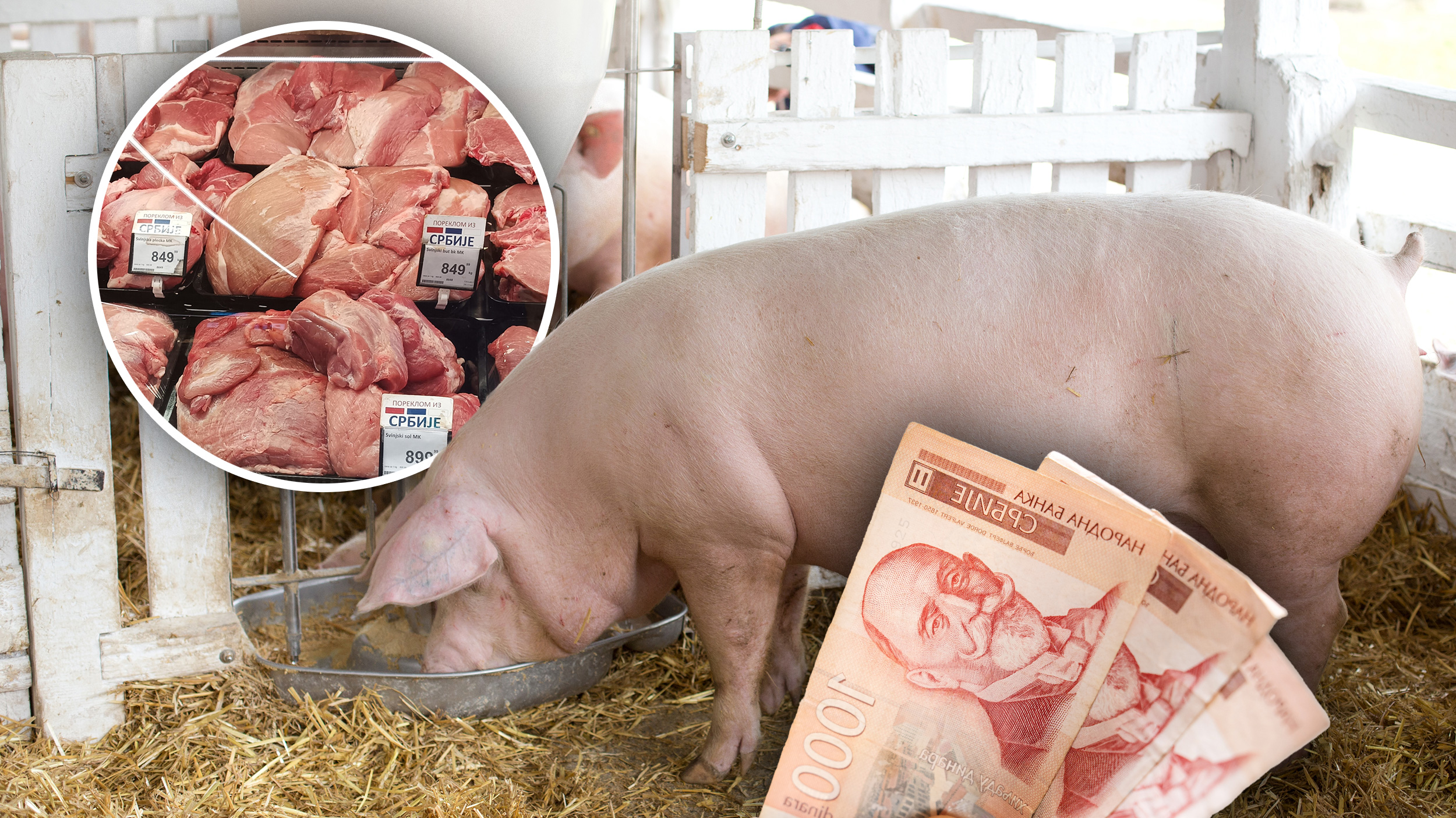 Svinje,Meso, Novac, Cene