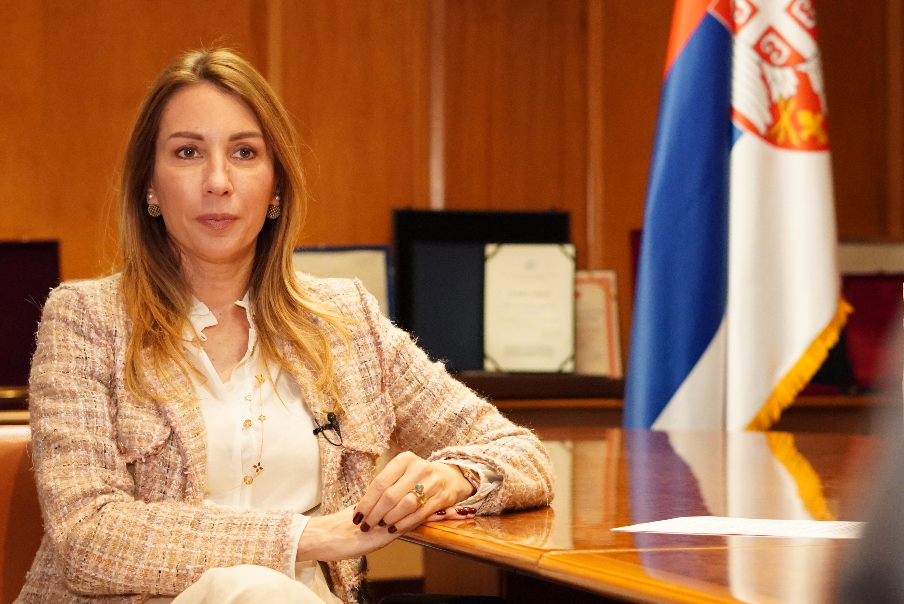 DUBRAVKA ÐEDOVIÆ HANDANOVIÆ