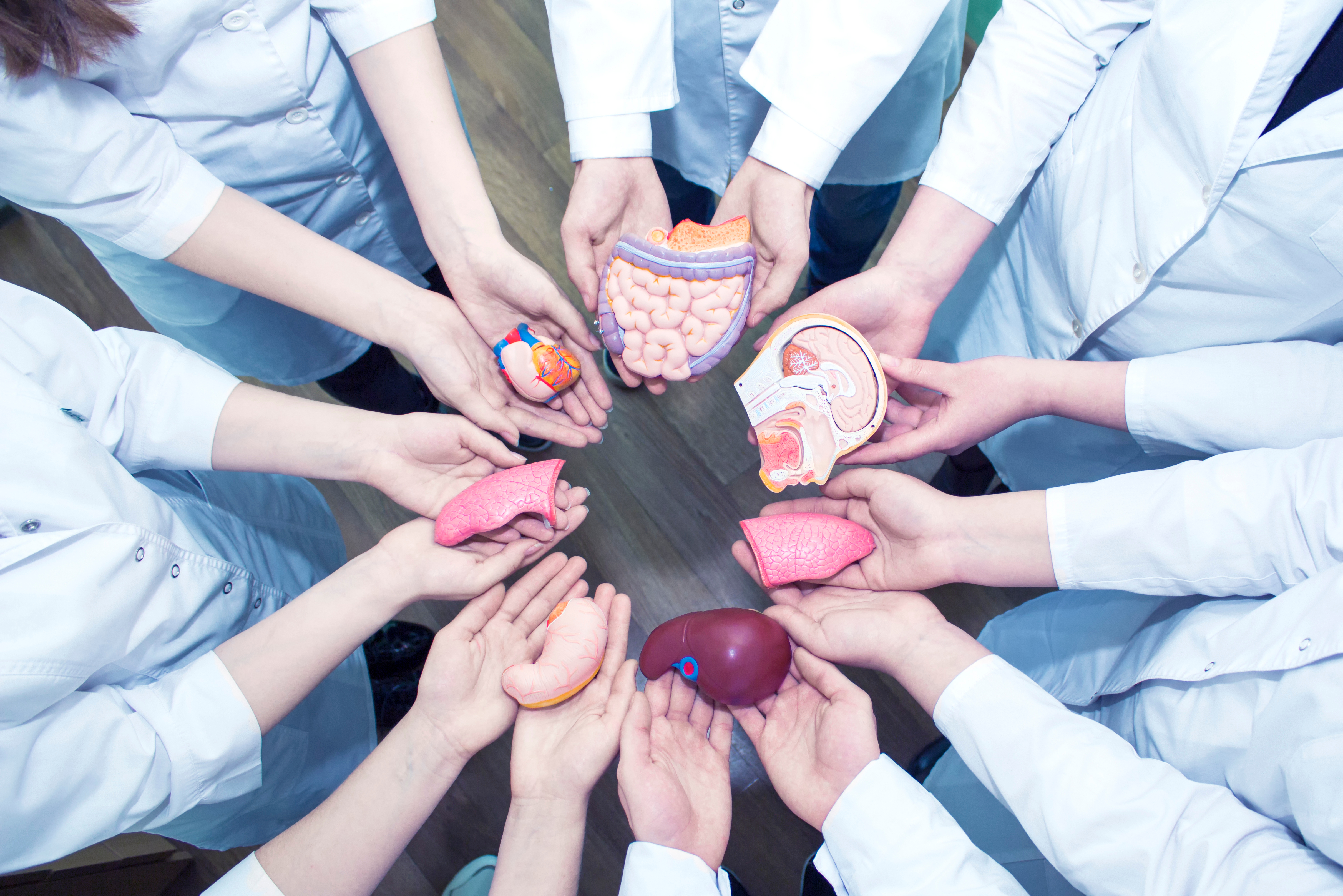 Concept,Of,Education.,A,Group,Of,Medical,Students,In,Lab
