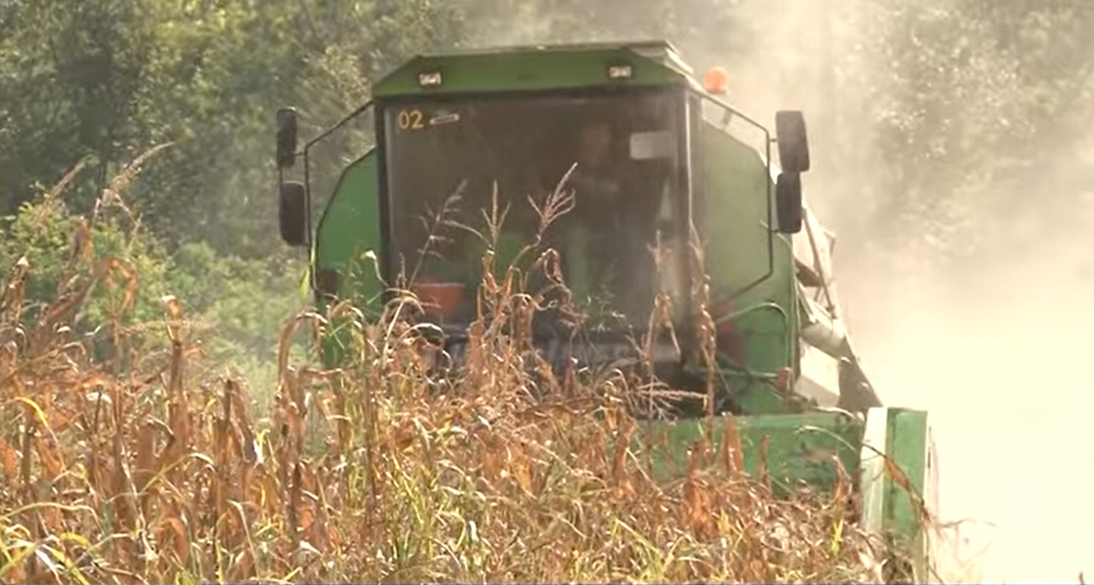 POLJOPRIVREDA
Poljoprivrednici rodnu godinu završavaju sa neisplativom proizvodnjom