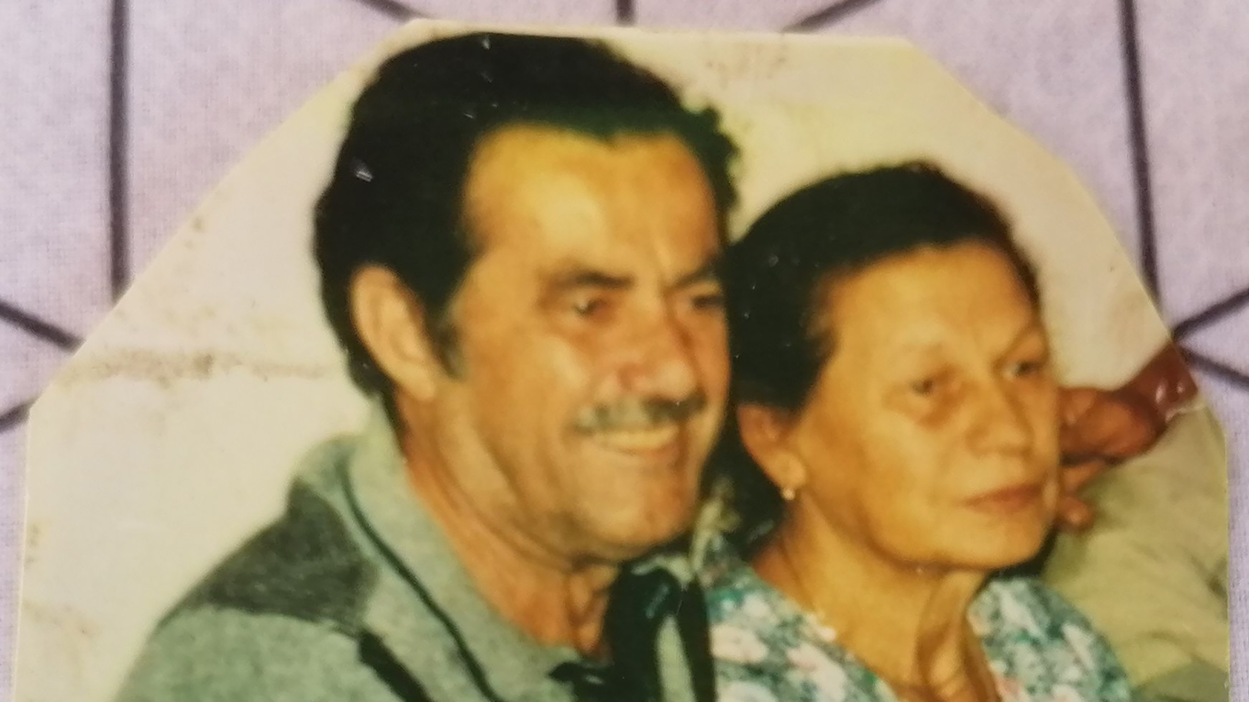 Devizni penzioneri Milan Jović (71) i njegova supruga Miroslava (69) pronađeni su mrtvi 13. aprila 2001. godine  u njihovoj porodičnoj kući u Ulici Vase Čarapića