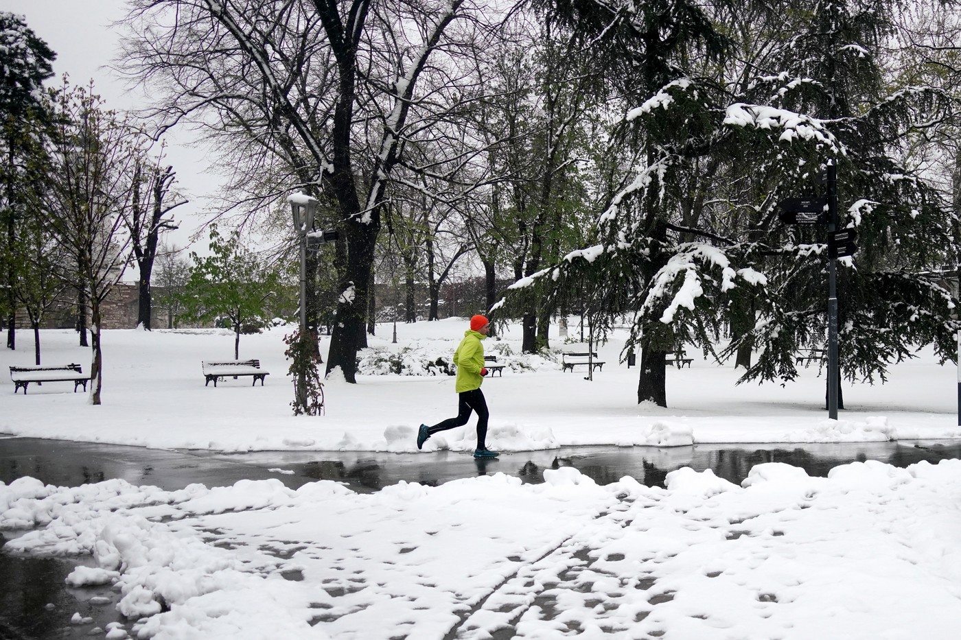 A man runs in a park during an unusual spring snowfall in Belgrade on April 4, 2023.,Image: 767218791, License: Rights-managed, Restrictions: , Model Release: no, Credit line: OLIVER BUNIC / AFP / Profimedia