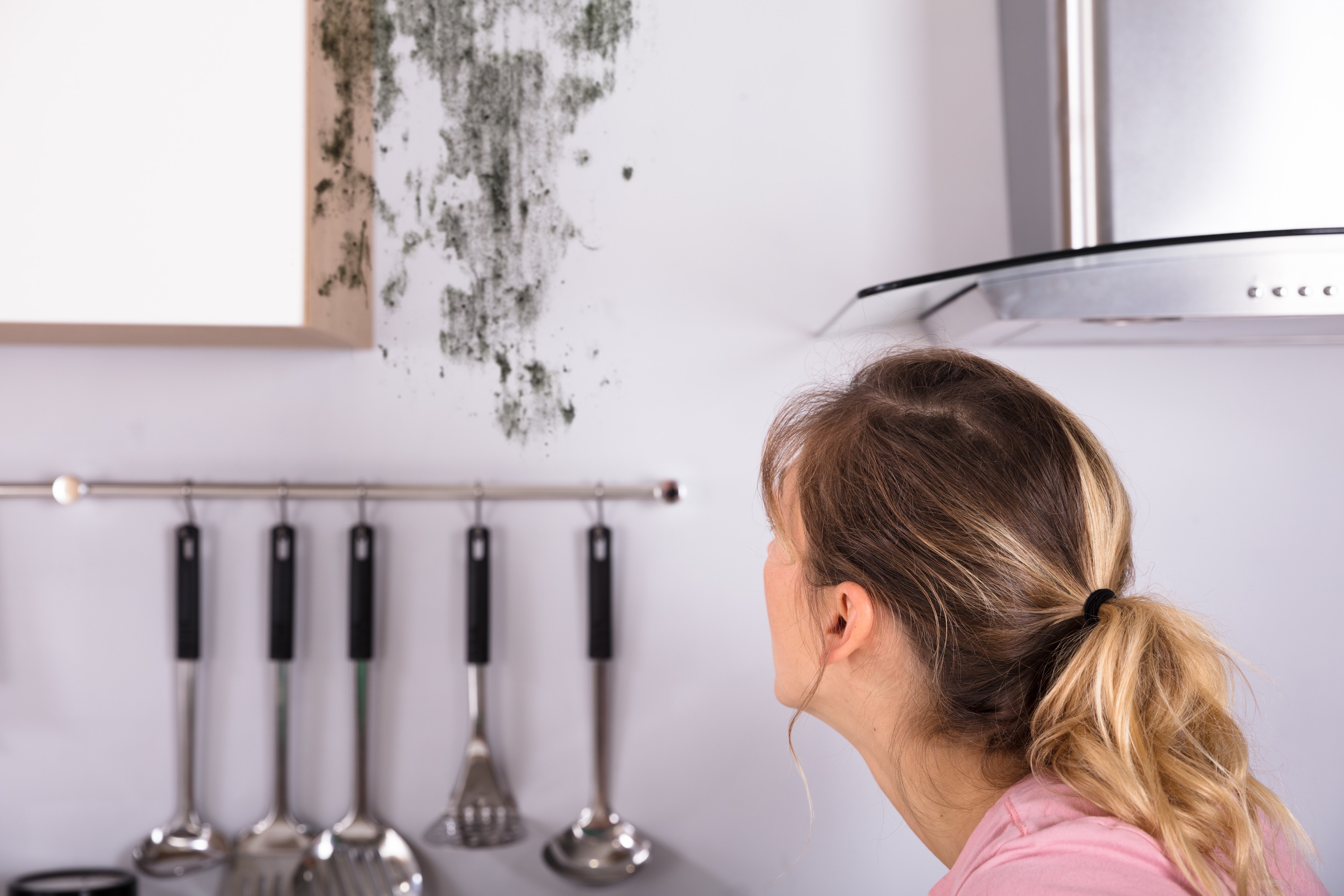 Shocked Woman Looking At Mold On Wall