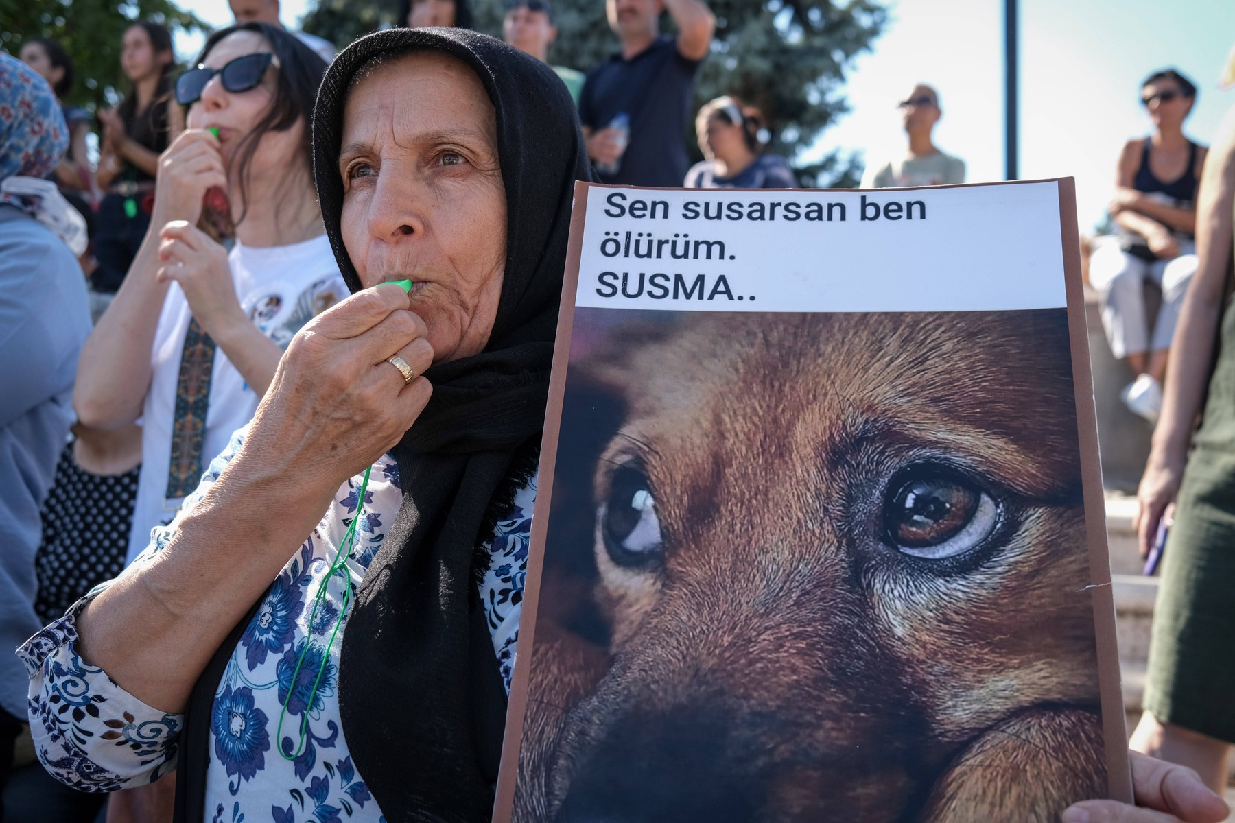 The law on euthanasia of stray animals was protested in Ankara, Turkey - 28 Jul 2024