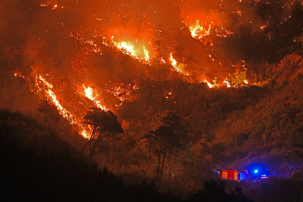 1722498004-Tan2024-08-0109363463_2-1024x683.jpg