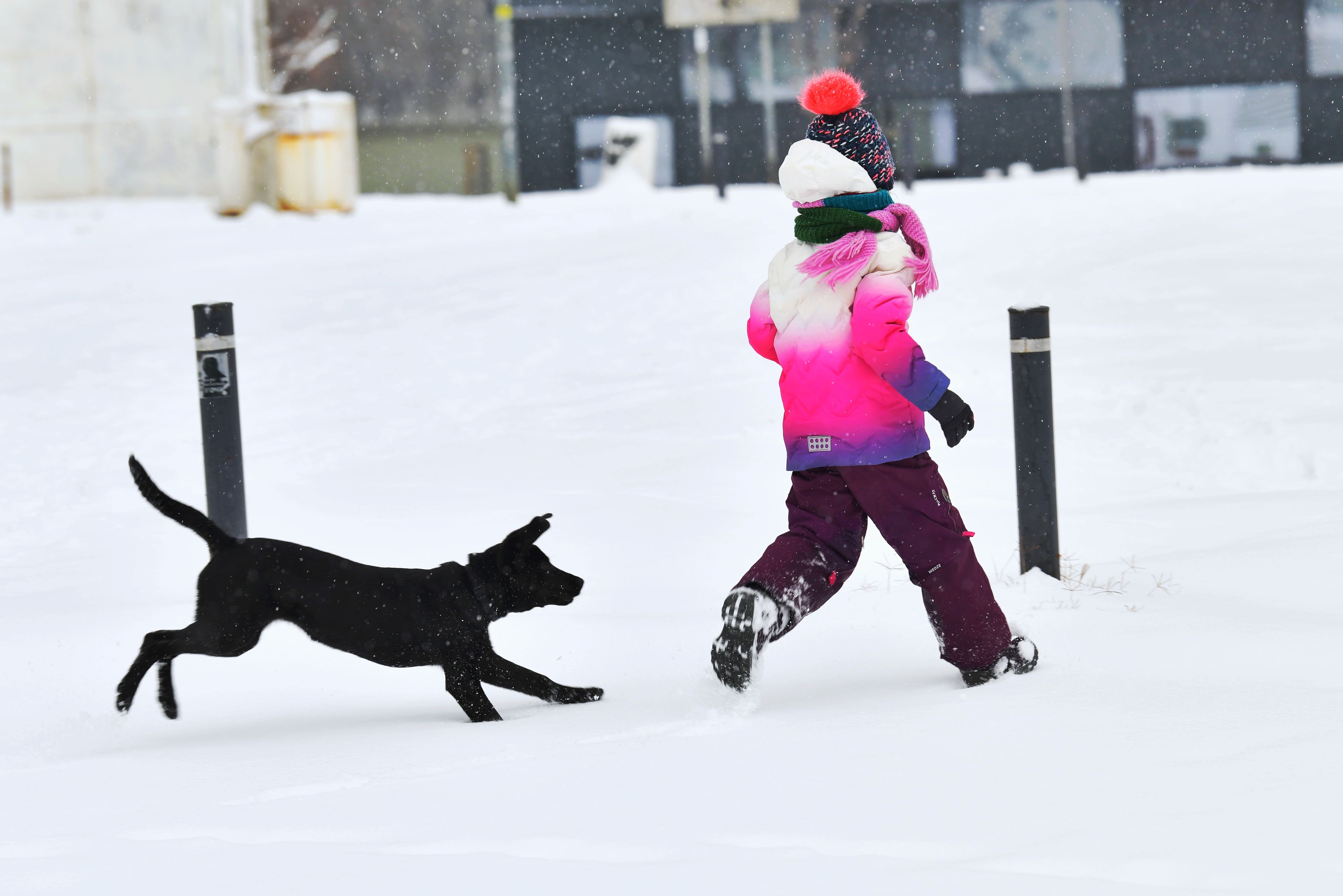 devojcica i pas Beograd 22.01.2022. Sneg, bljuzgavica, vremenska prognoza, zima, vreme Foto: Vesna Lalić/Nova.rs, igra, sanke, sankanje deca