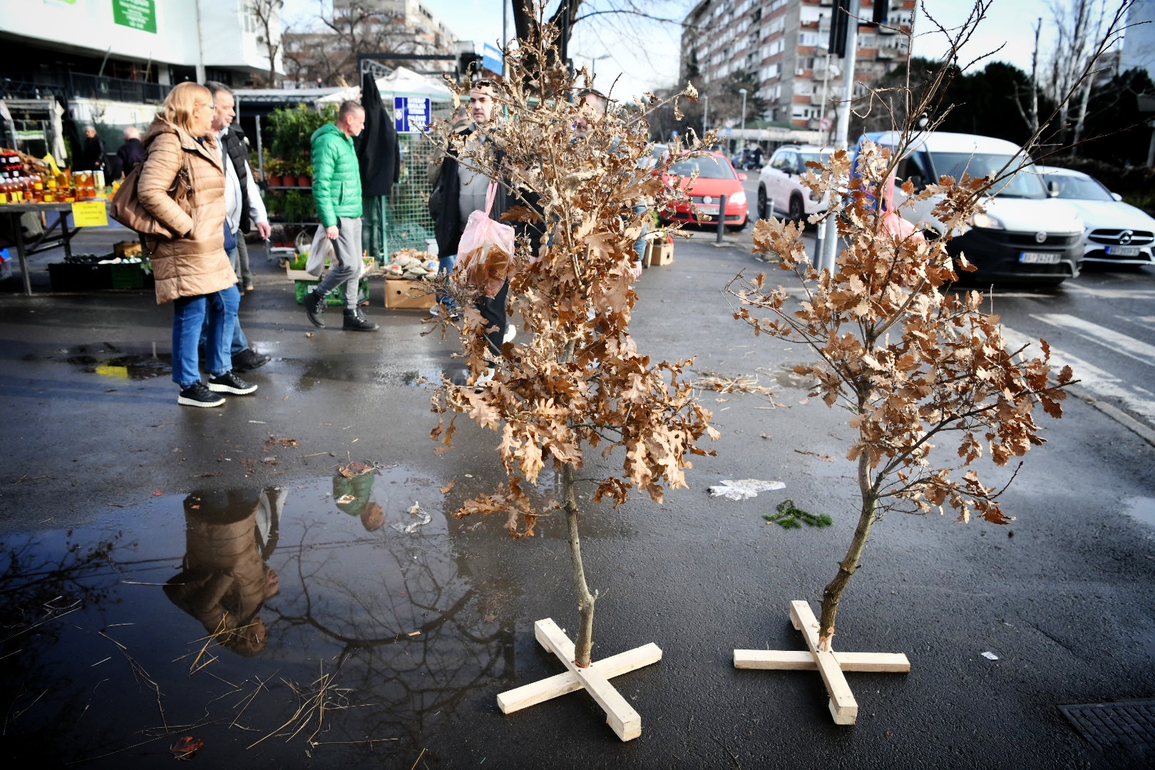 Beograd, 05.januar 2024. Badnjak. Badnjaci, Božić, Kupovina badnjaka, Stari Merkator
