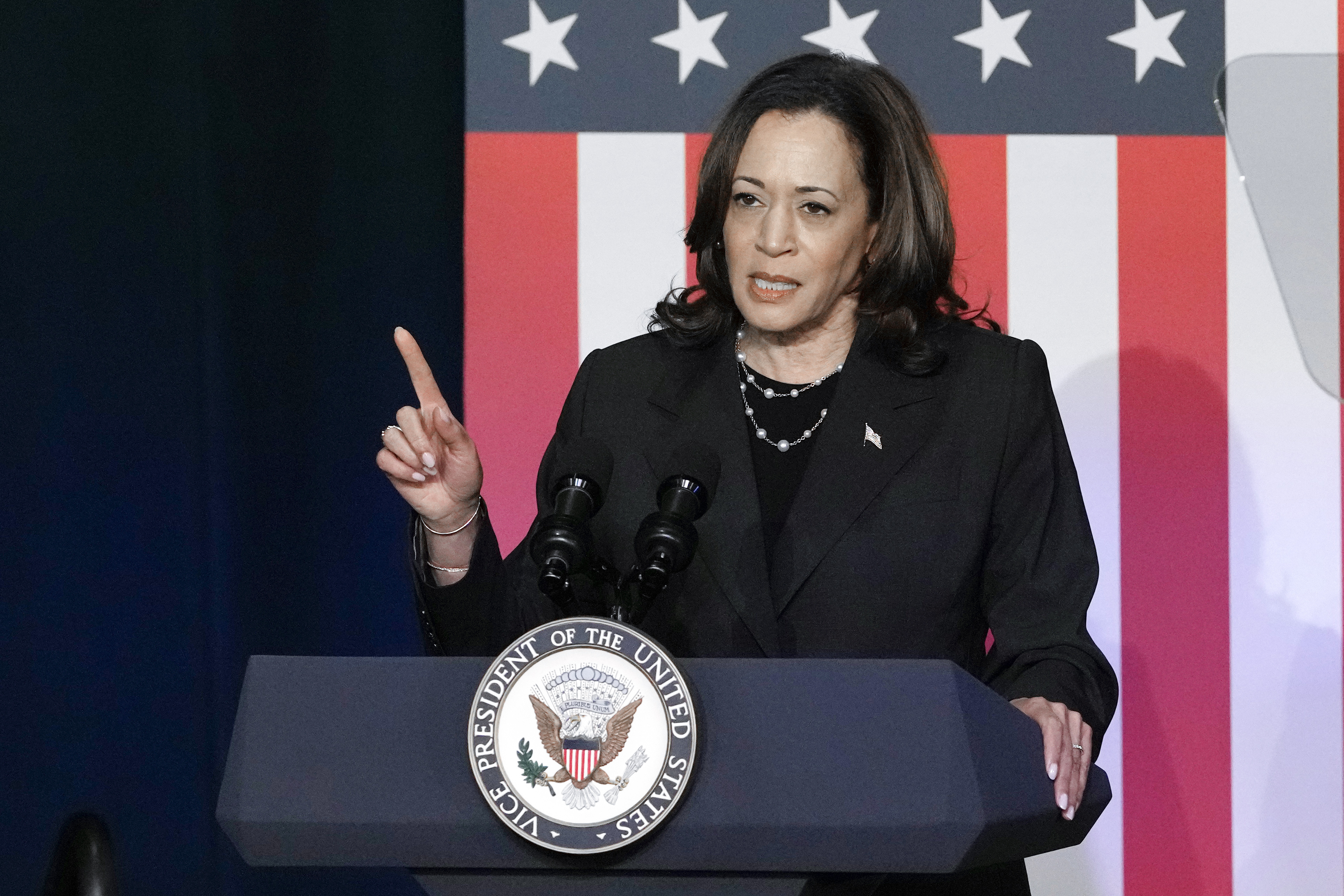 Election 2024 Harris Issues Glance