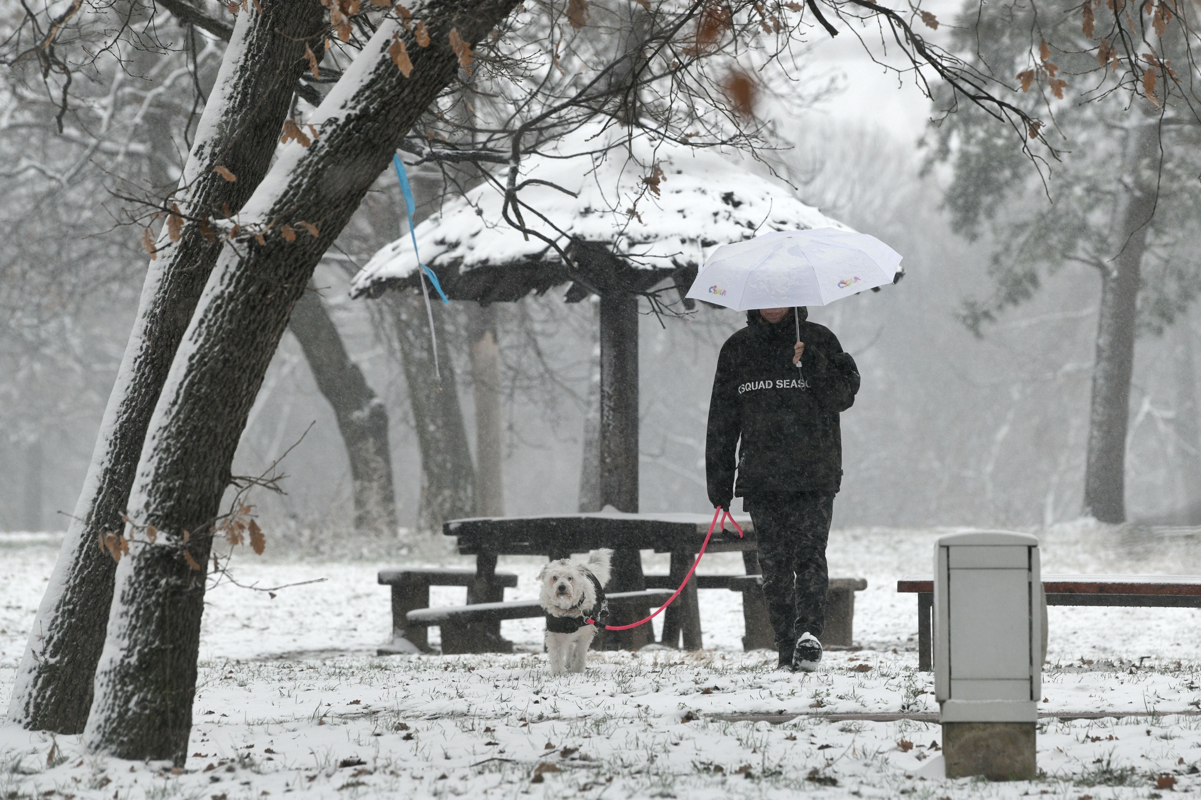 sneg foto filip krainčanić nova rs (14)