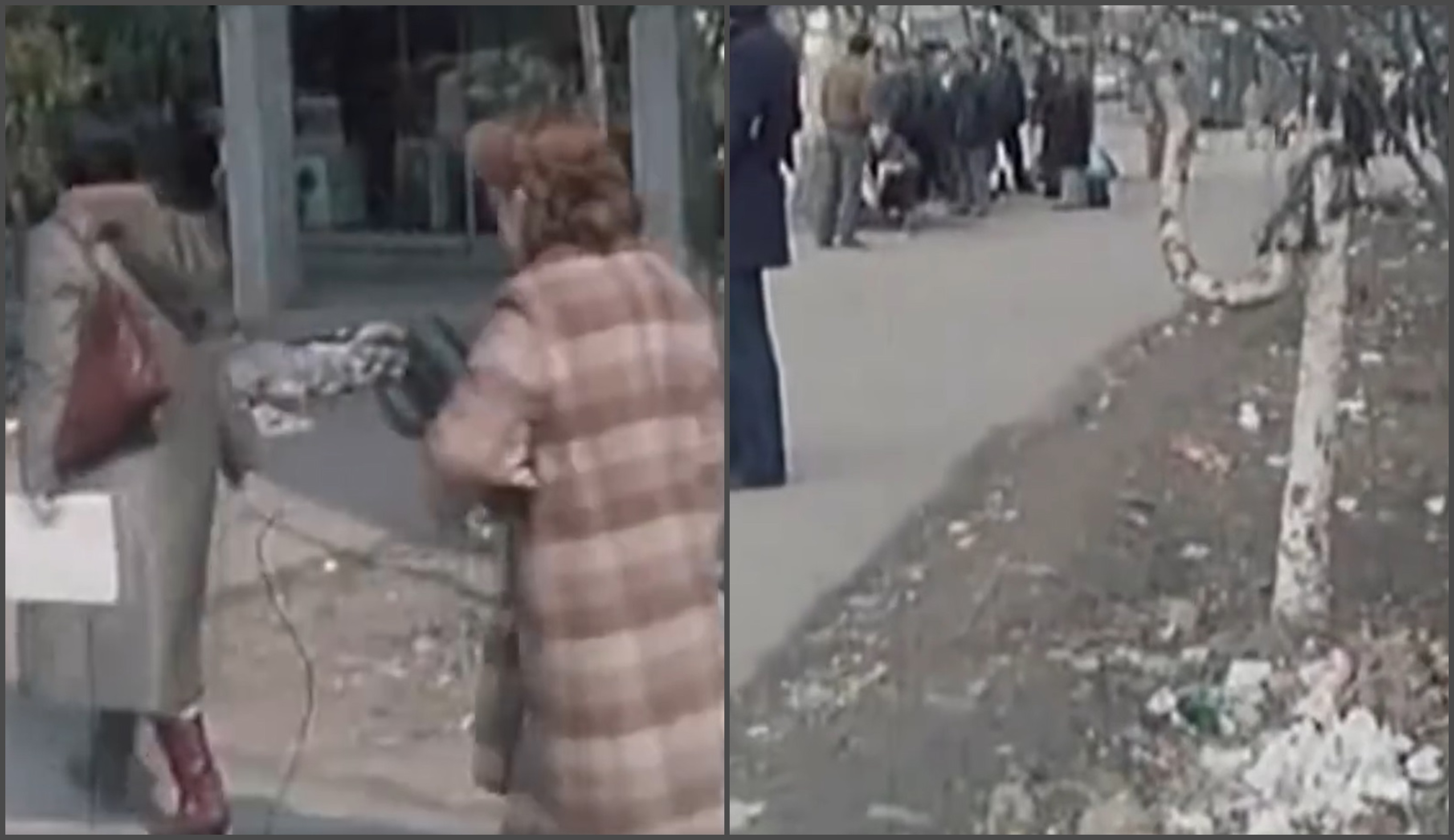 Beograd 1982. godine
