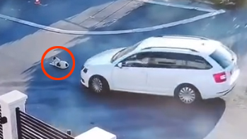 Zena sa Bezanijske Kose,ulica Dimitrija Georgijevic Starika 13b svesno i namerno zgazila kuce naseg komsije nije ni pokusala da ga izbegne