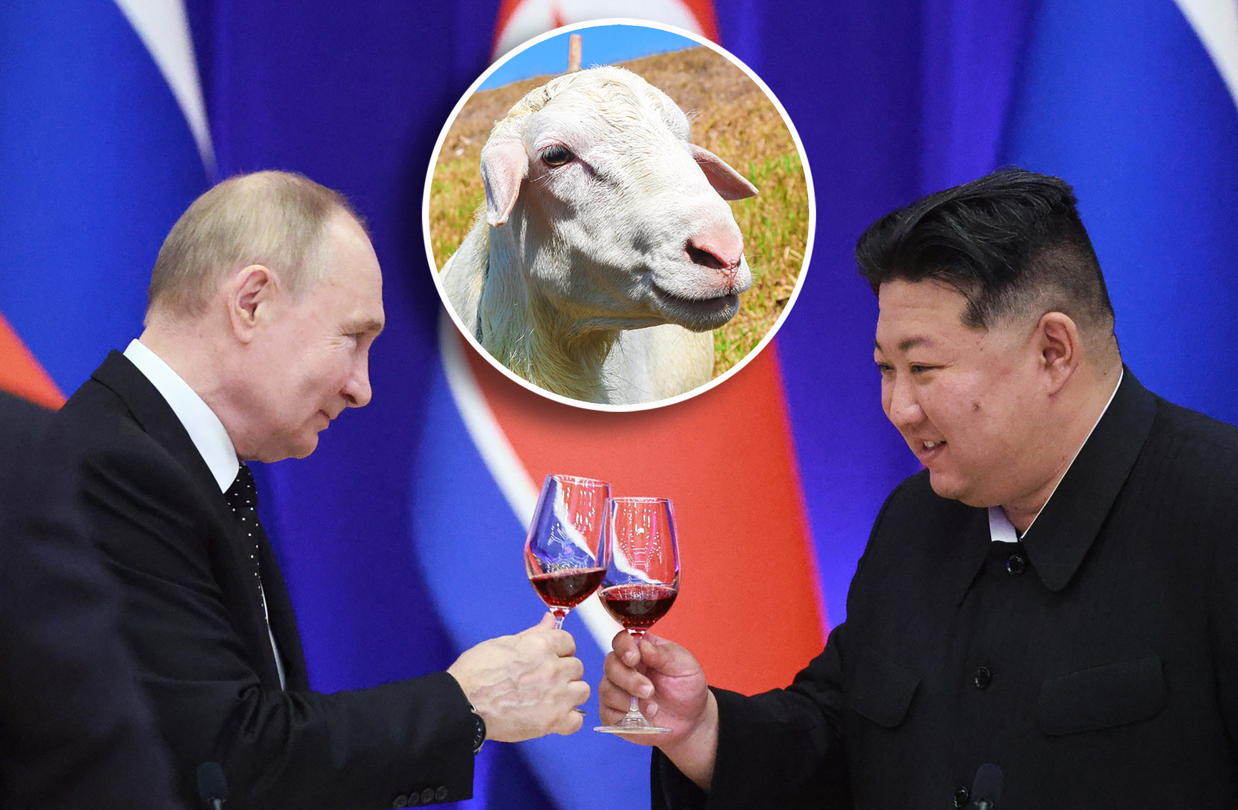 profimedia-0883157036 copyghh